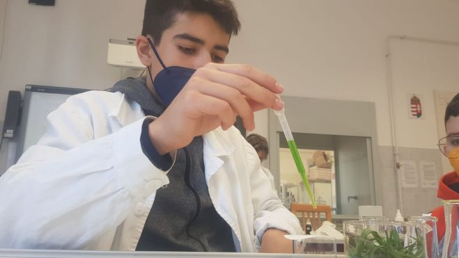 Los trabajos en laboratorio son parte del proyecto medioambiental. / AH Los trabajos en laboratorio son parte del proyecto medioambiental. / AH