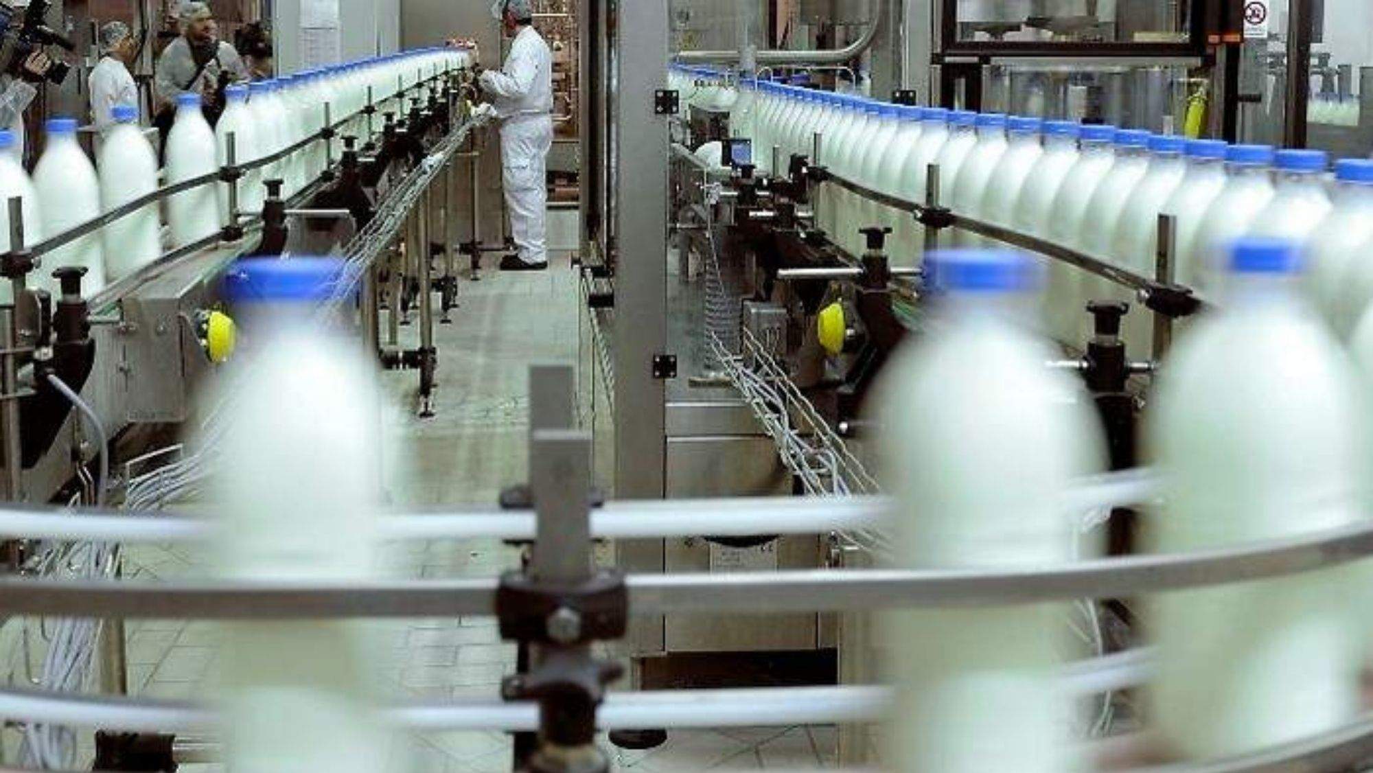 Fábrica de productos lácteos. / Imagen de la red