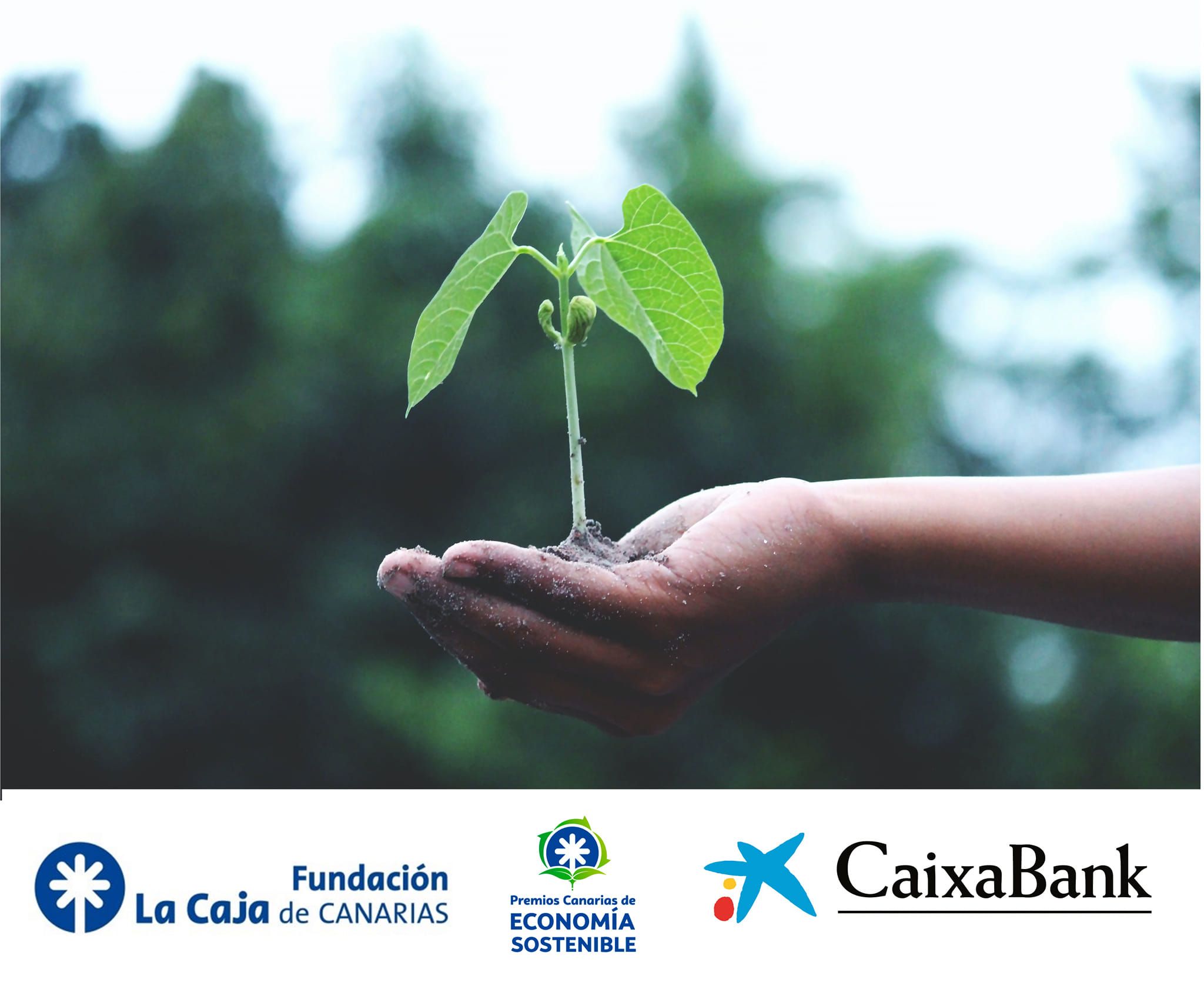 Cartel Convocatoria de los Premios Canarias de Economía Sostenible./