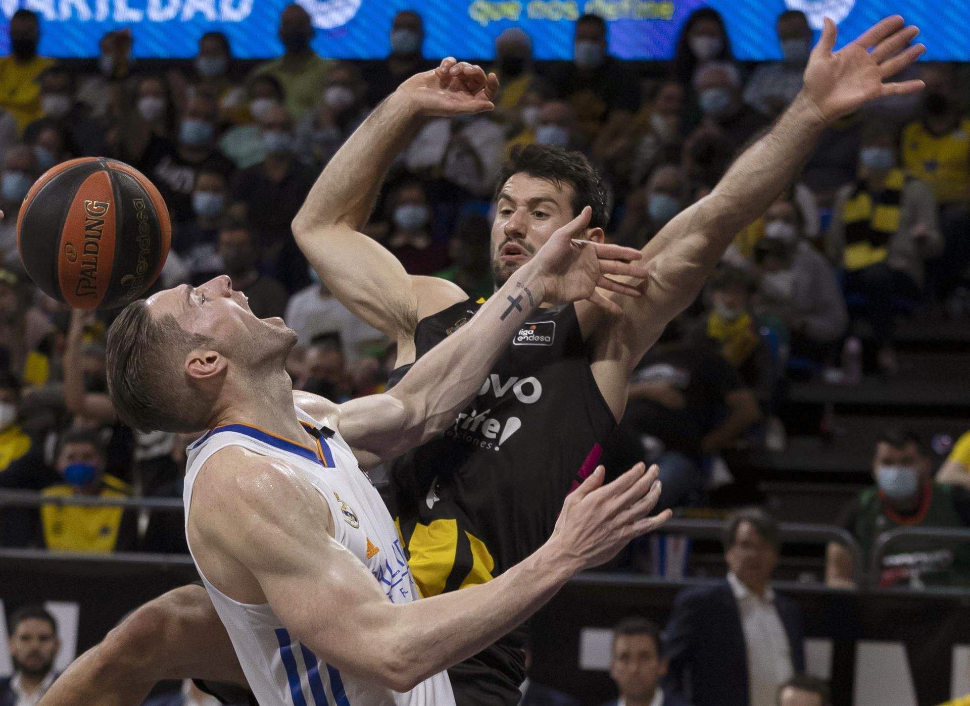 Bruno Fitipaldo, MVP del partido, disputa el balón a Causeur en la victoria del CB Canarias por 72-59 ante el Real Madrid./ Efe