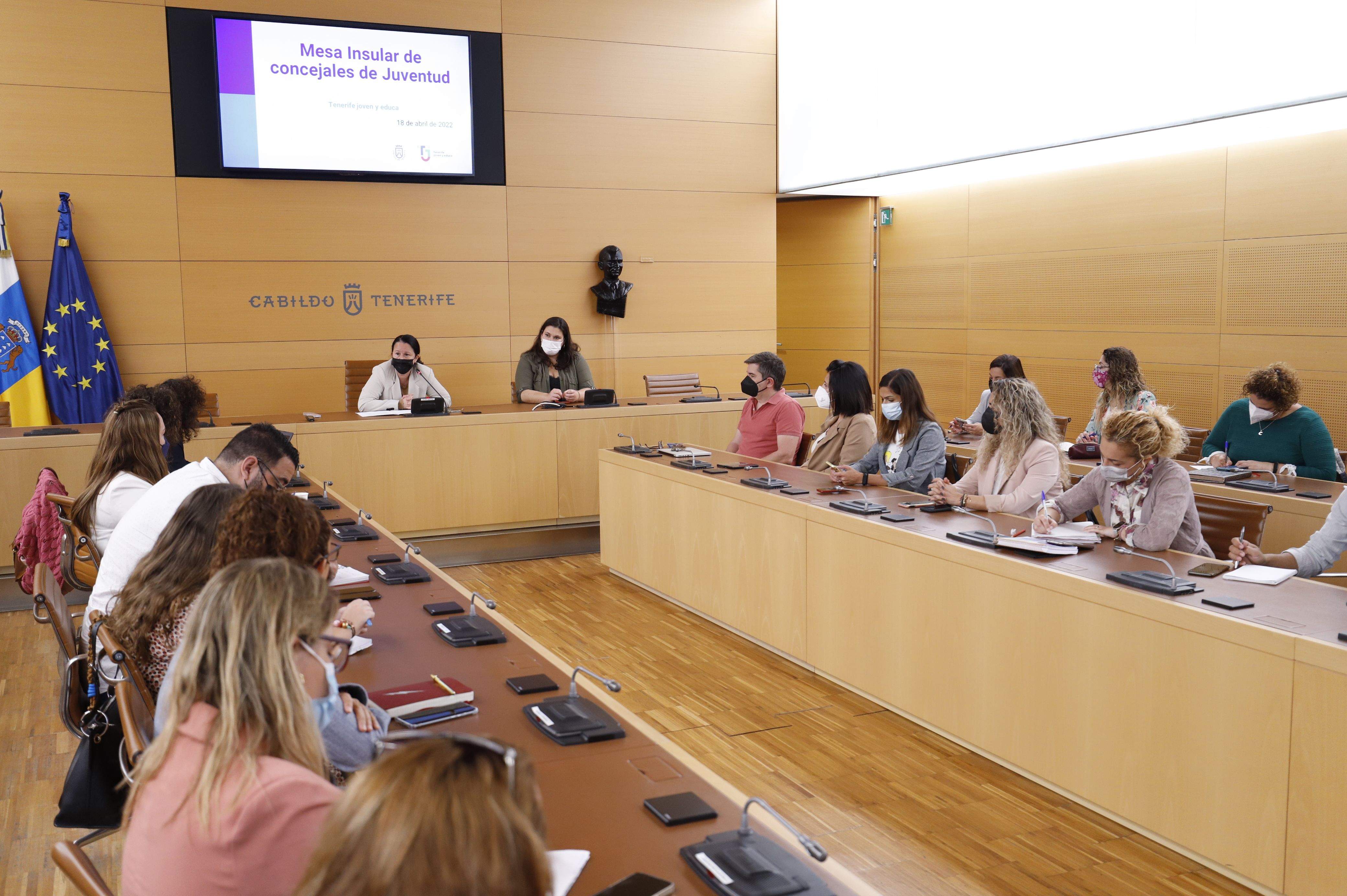 Mesa Insular del Cabildo de Tenerife que trató el Pacto Insular por la Juventud./