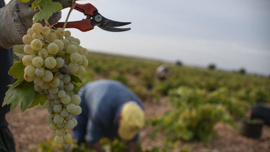 Personas vendimiando. / Eusebio G. del Castillo EP
