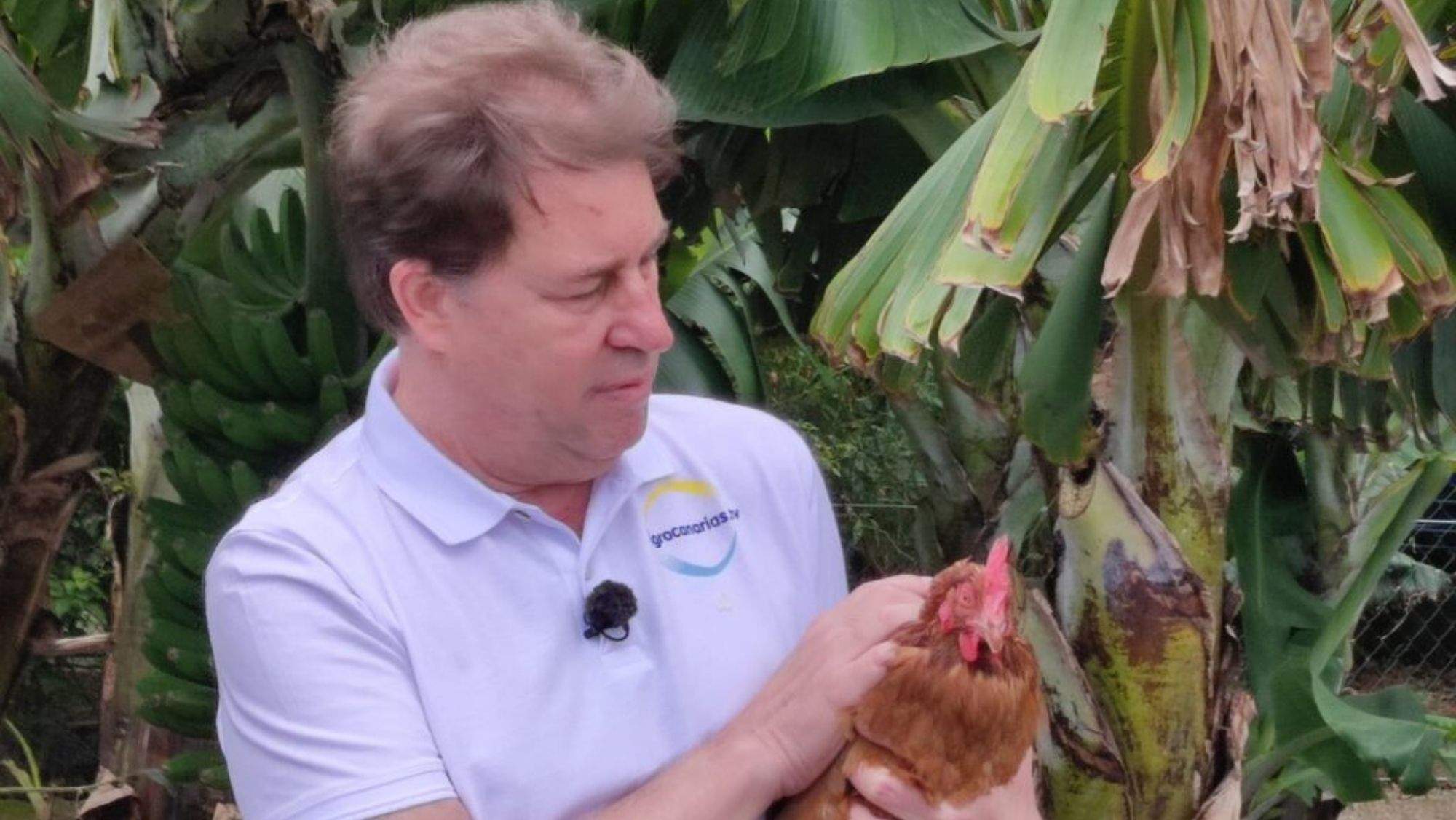 El periodista gastronómico Fran Belín. / RTVC