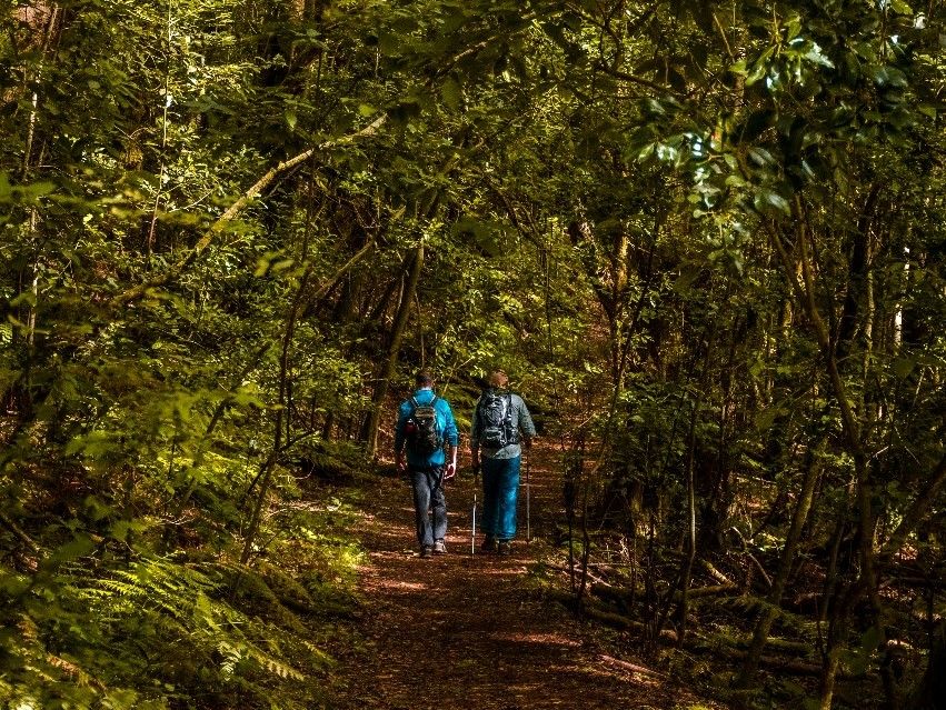 Senderistas en el Parque Nacional de Garajonay, Patrimonio Mundial/ ARCHIVO 