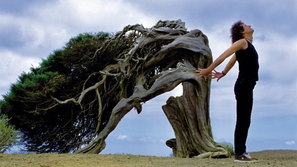 Brian May junto a la sabina de El Hierro, portada de su disco Another World./