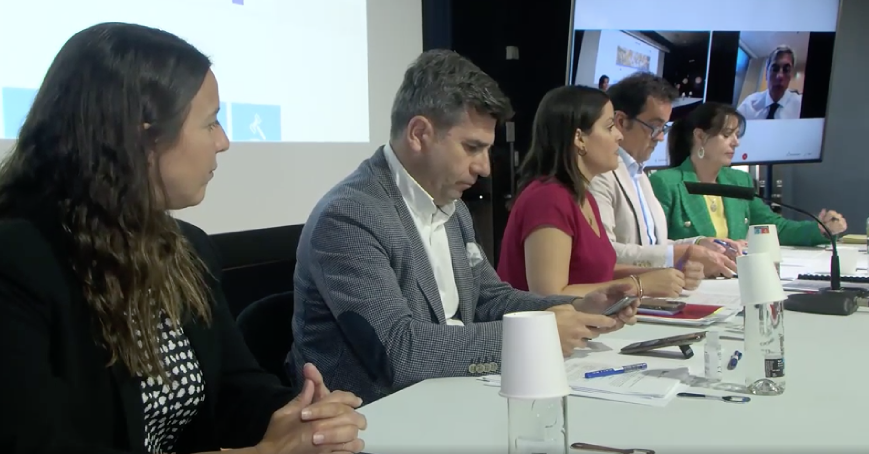 La consejera Yaiza Castilla (de rojo) preside la reunión del Observatorio de Comercio de Canarias./