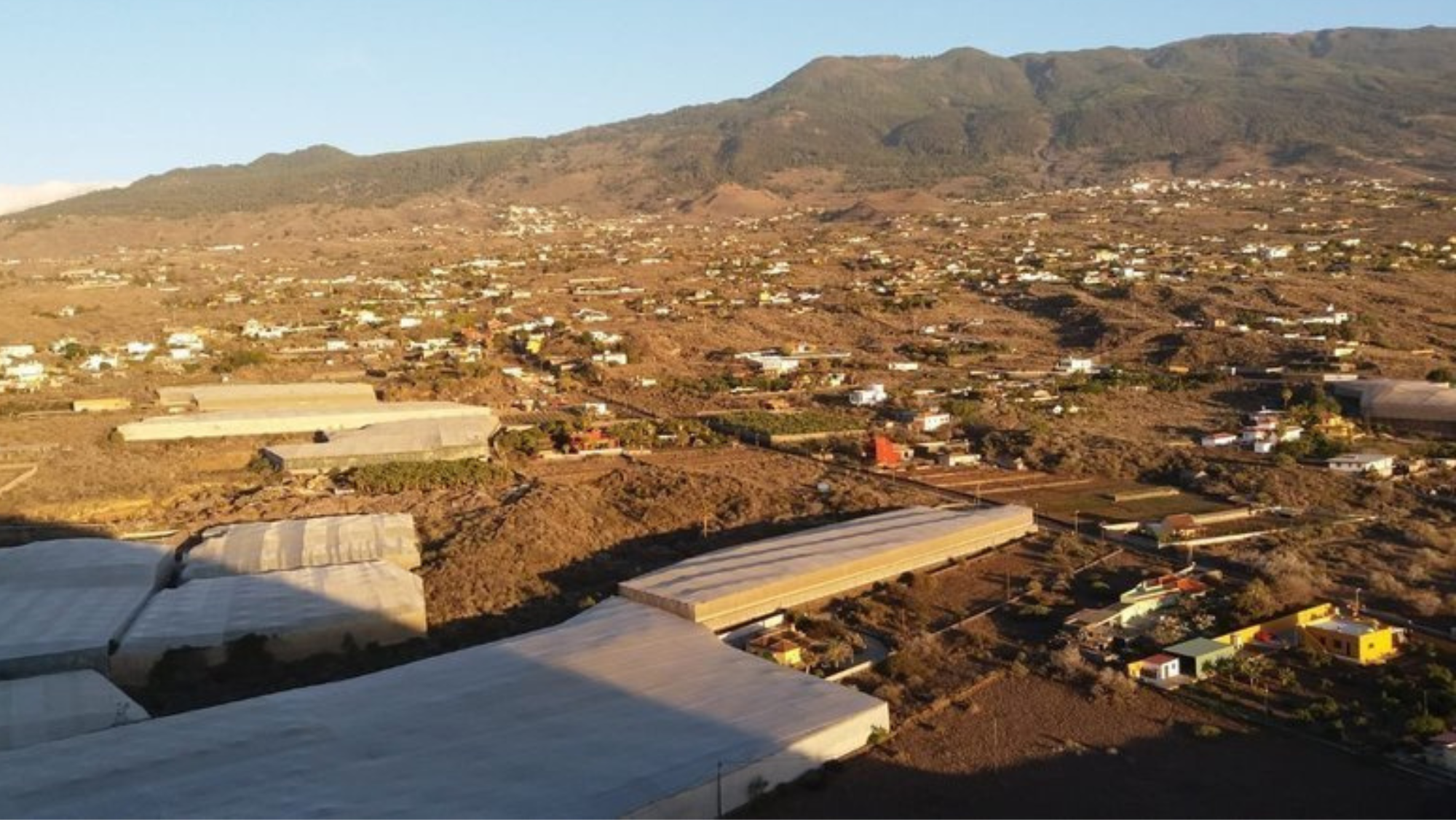 Imagen de El Pamplillo de la firma en Change.org