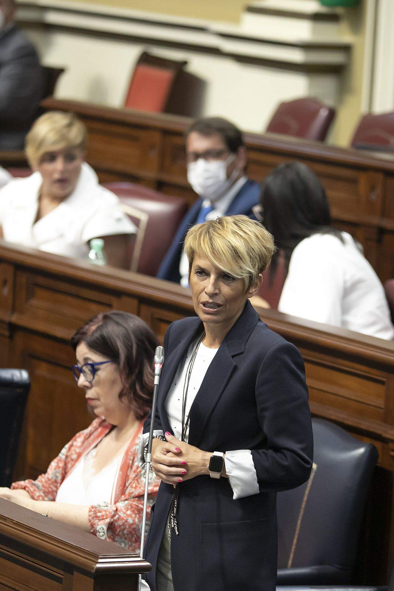 Elena Máñez en el Parlamento en una foto de archivo. / GOBIERNO DE CANARIAS
