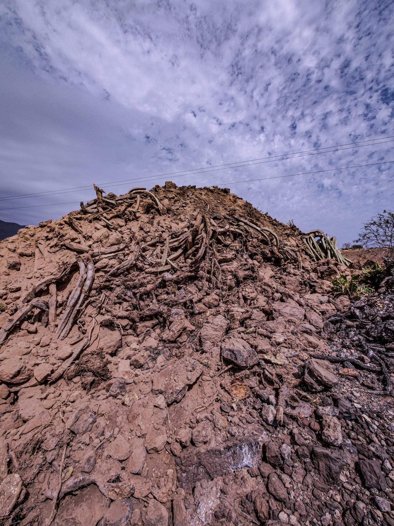 Vegetación ya destruida por los trabajos de Cuna del Alma. / Cedida