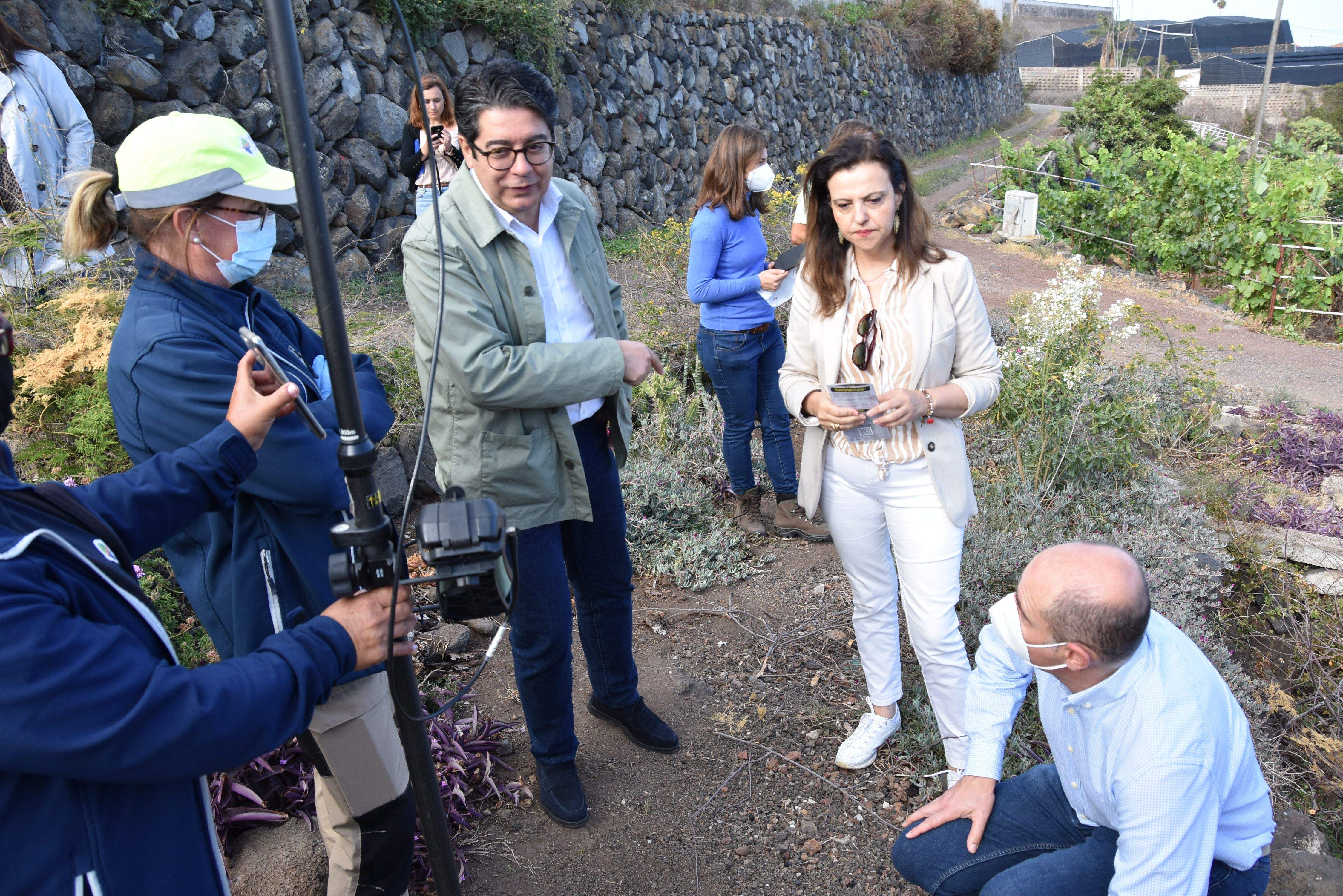 Pedro Martín e Isabel García visitan un foco de termitas en Tenerife./ Cabildo de Tenerife
