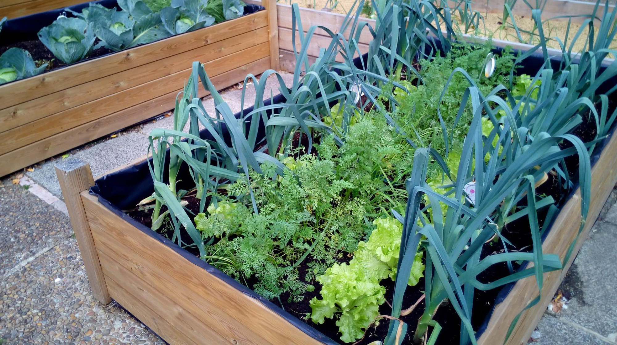 Huerto en La Orotova / PIXABAY