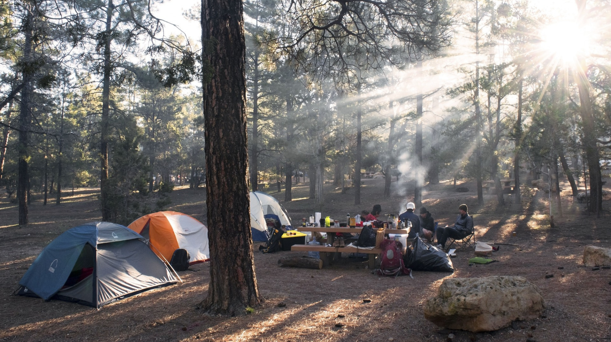 Camping en Tenerife / FREEPIK