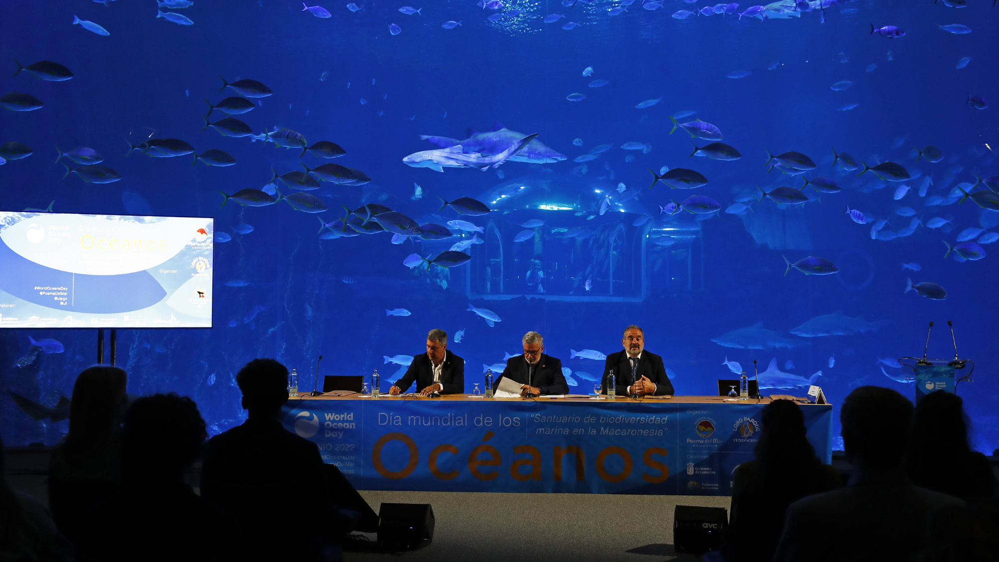 El rector de la ULPG, Lluis Serra (c); el director de la Fundación Loro Parque, Javier Almunia (d); y el director del Instituto Universitario de Sanidad Animal y Seguridad Alimentaria en la presentación del proyecto del santuario. / EFE 