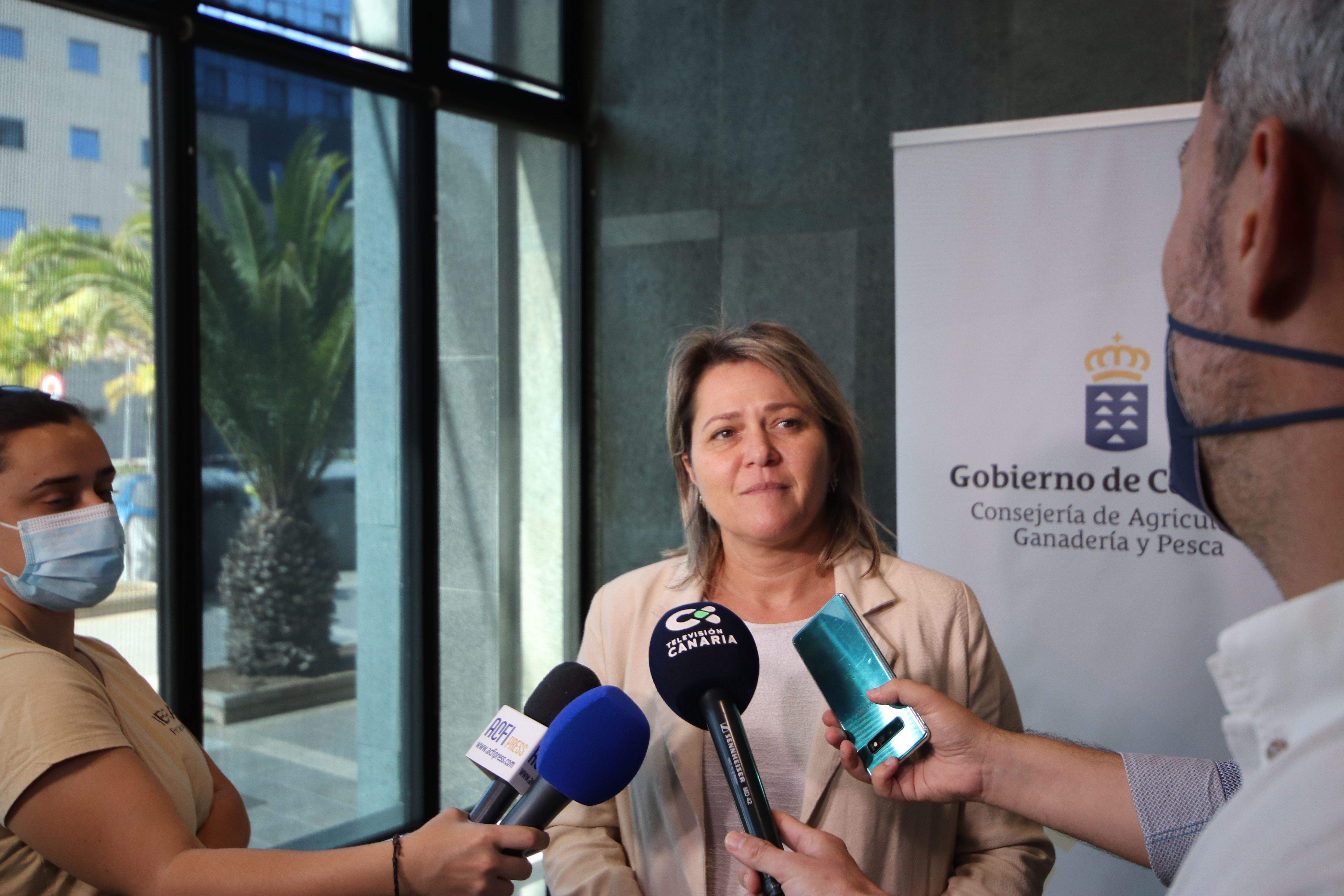 La consejera Vanoostende explica a los medios el abono de las ayudas al sector ganadero./