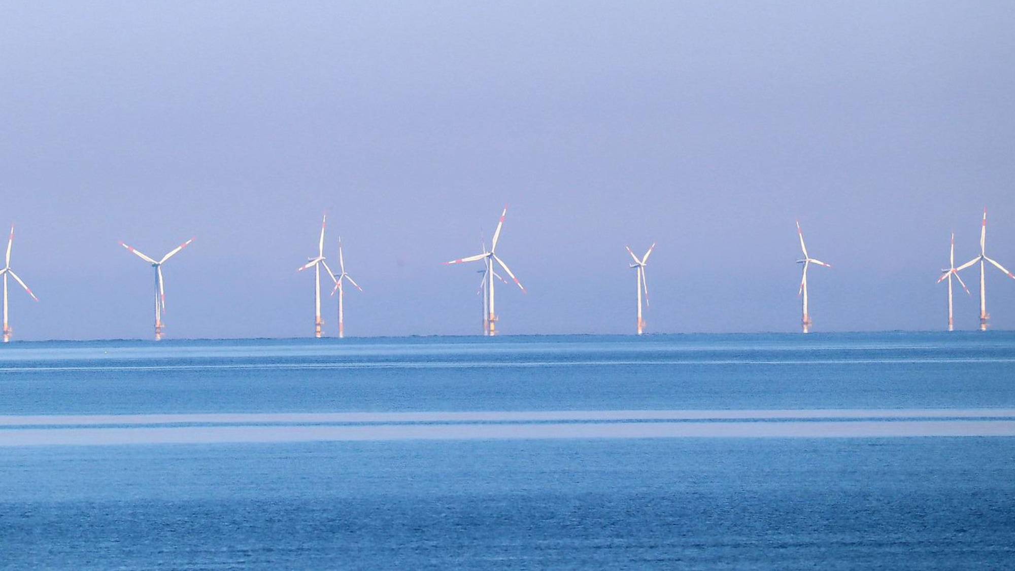 Parque de energía eólica marina. / Pixabay