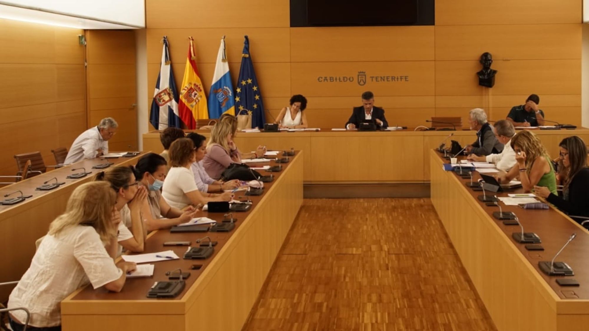 El consejero de Agricultura Ganadería y Pesca, Javier Parrilla, interviene en el Pleno. / Cedida