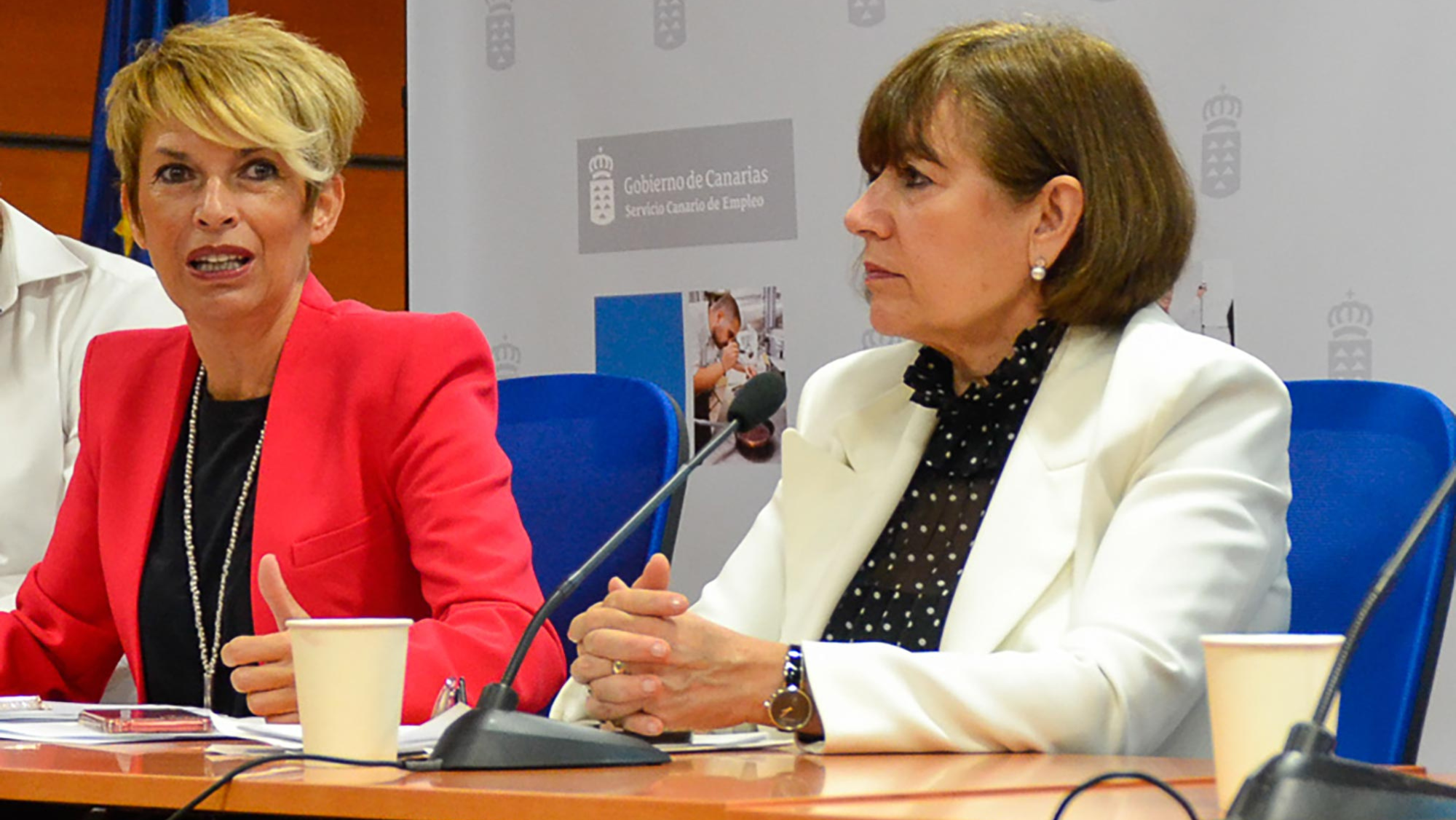 La consejera de Economía, Conocimiento y Empleo del Gobierno de Canarias, Elena Máñez, y la directora del Servicio Canario de Empleo, Dunnia Rodríguez, quienes anunciaron que más de 10.400 desempleadas del ámbito rural recibirán formación digital Cedida