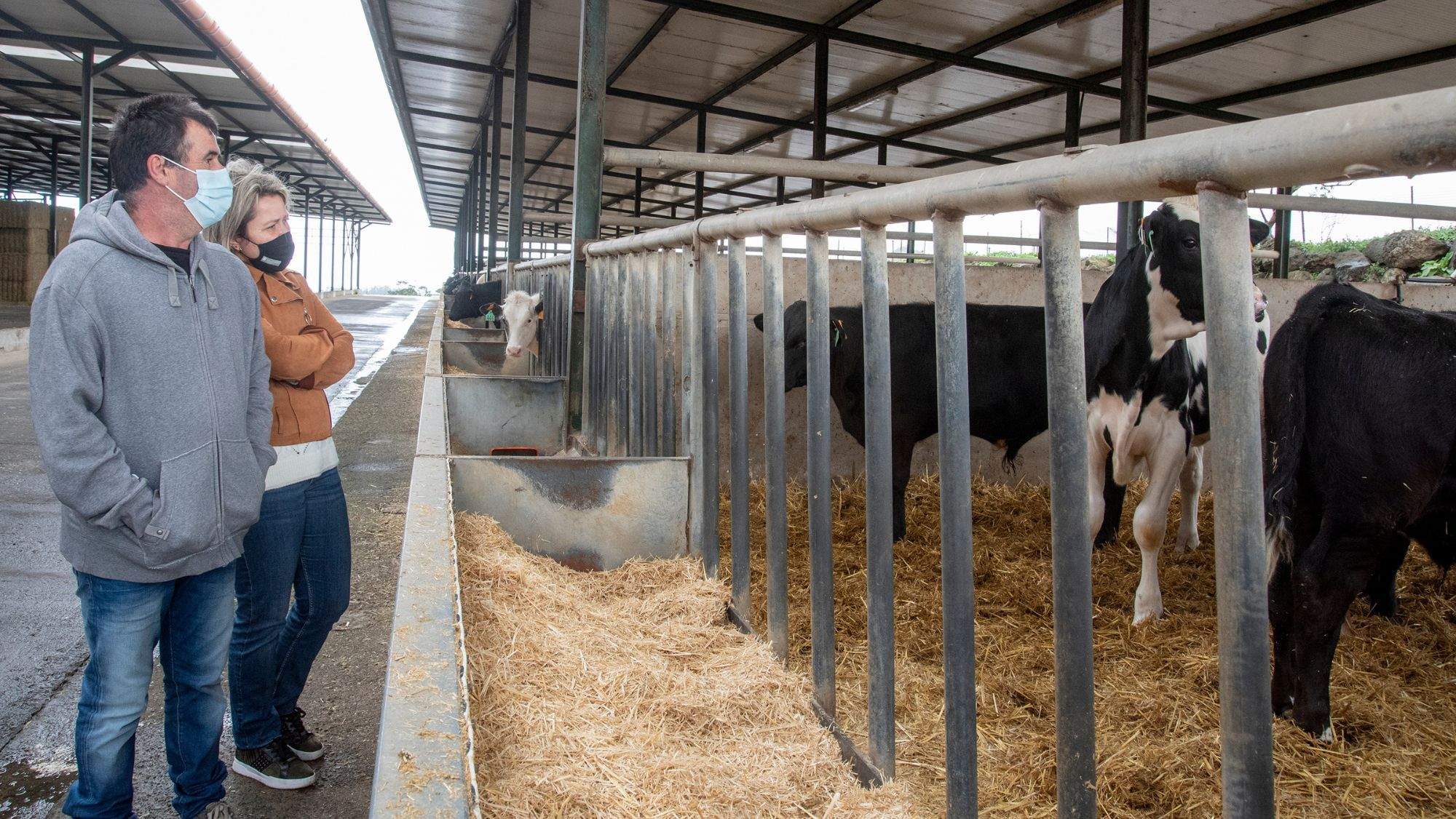 La consejera Alicia Vanoostende visita una explotación ganadera. / Cedida