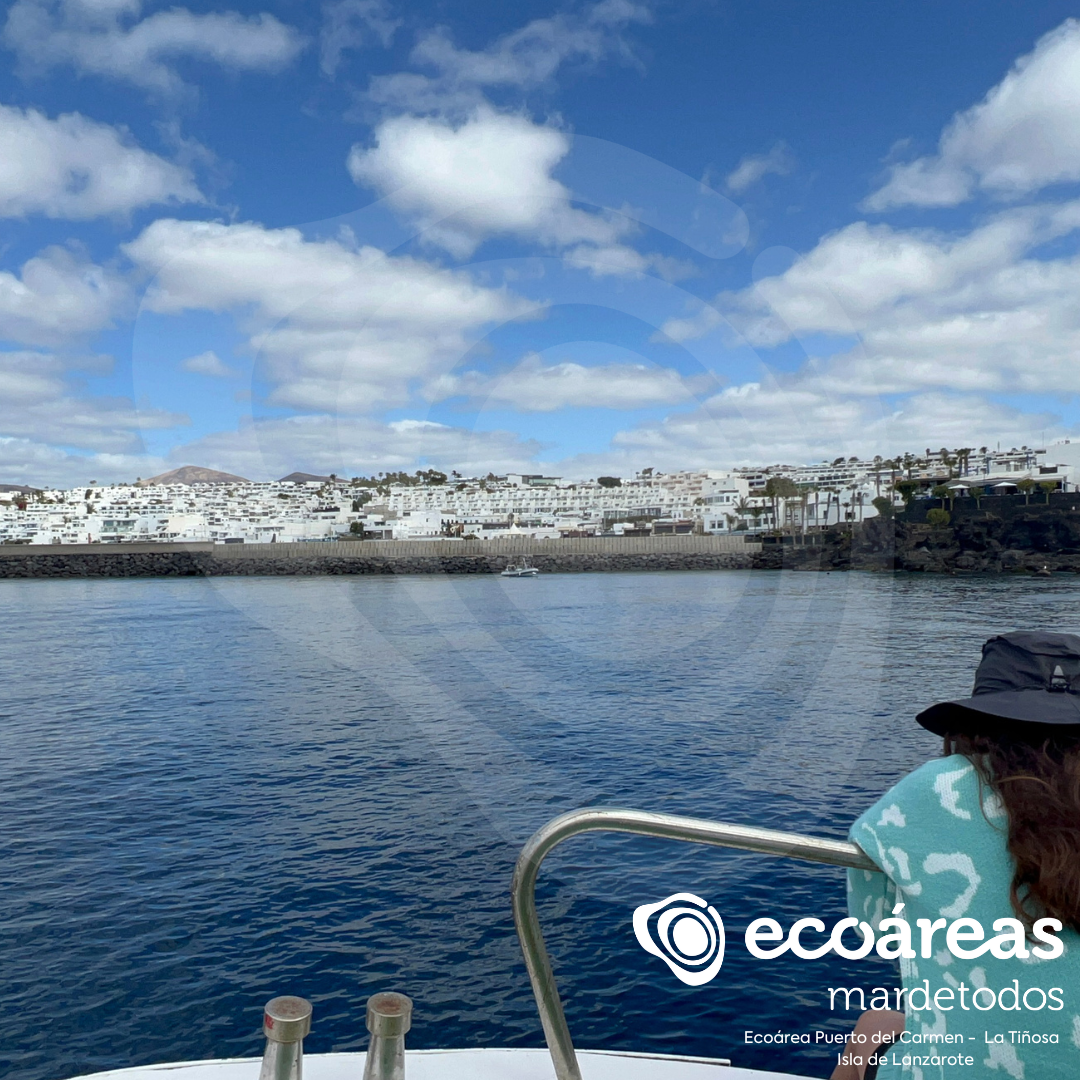 Ecoárea de Puerto del Carmen, en Lanzarote./