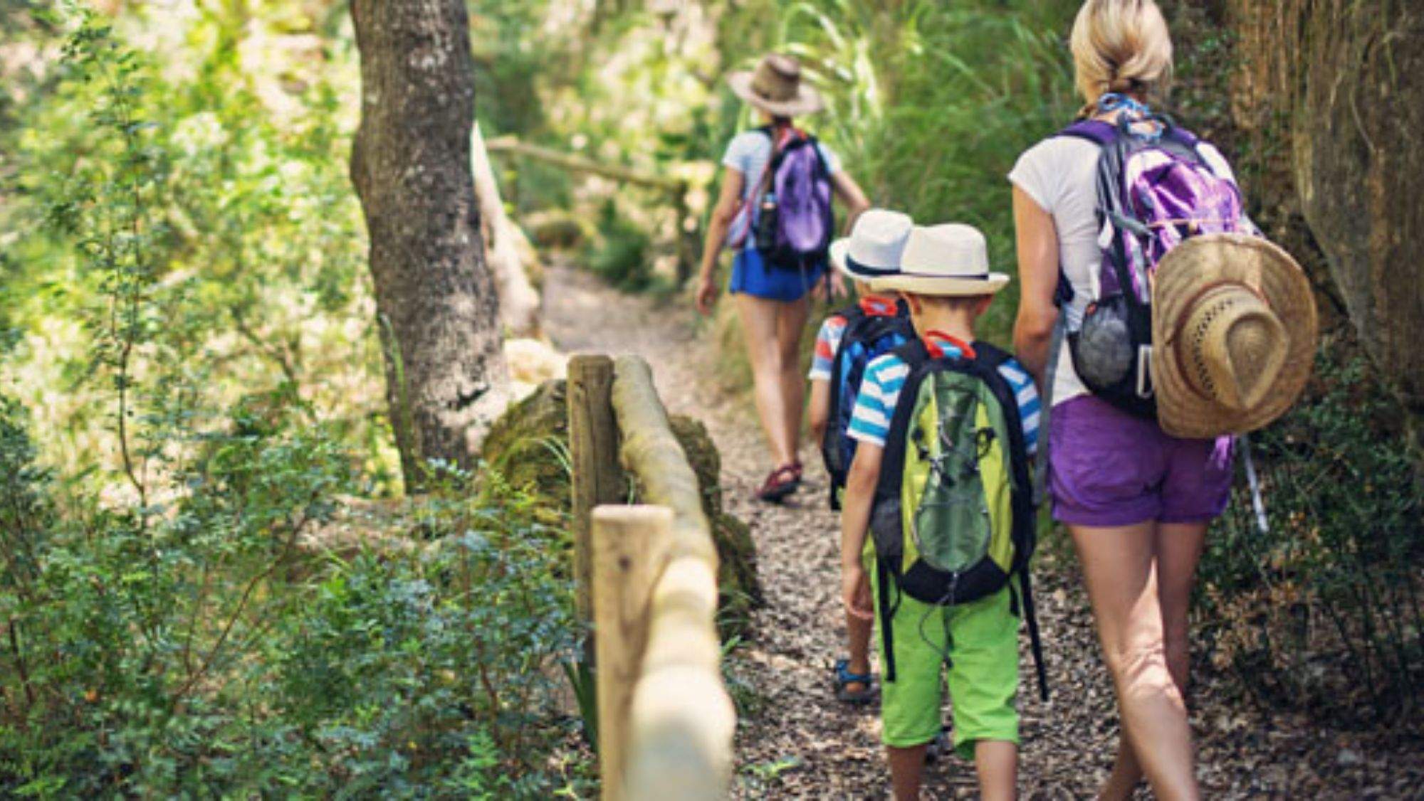 Una familia realiza un sendero en la naturaleza. / Imagen de la red