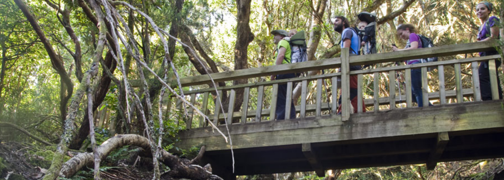 Sendero de los sentidos. / Turismo de Tenerife Sendero de los sentidos. / Turismo de Tenerife