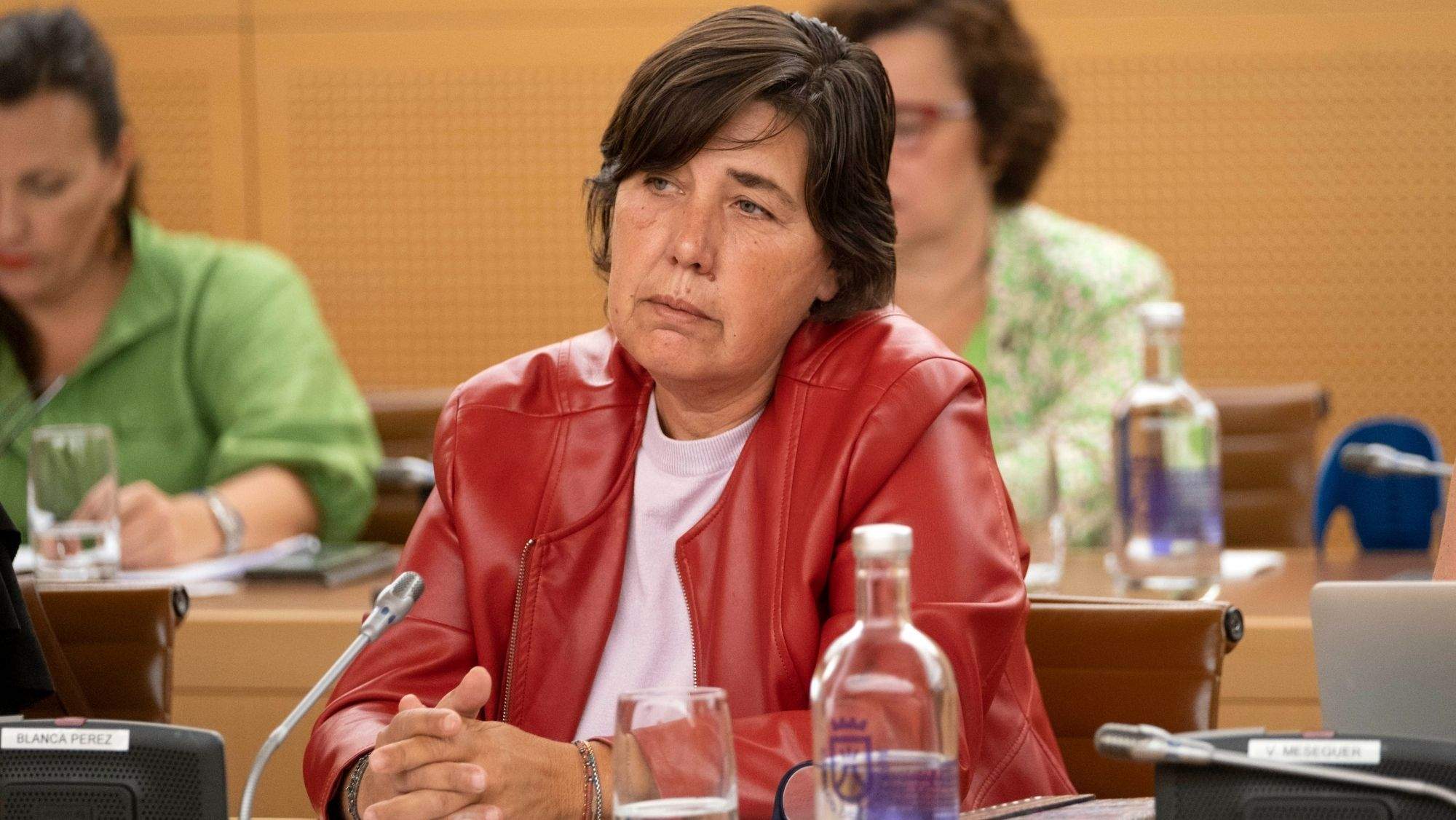 La consejera de Coalición Canaria, Blanca Pérez, durante un Pleno del Cabildo de Tenerife. / Cedida