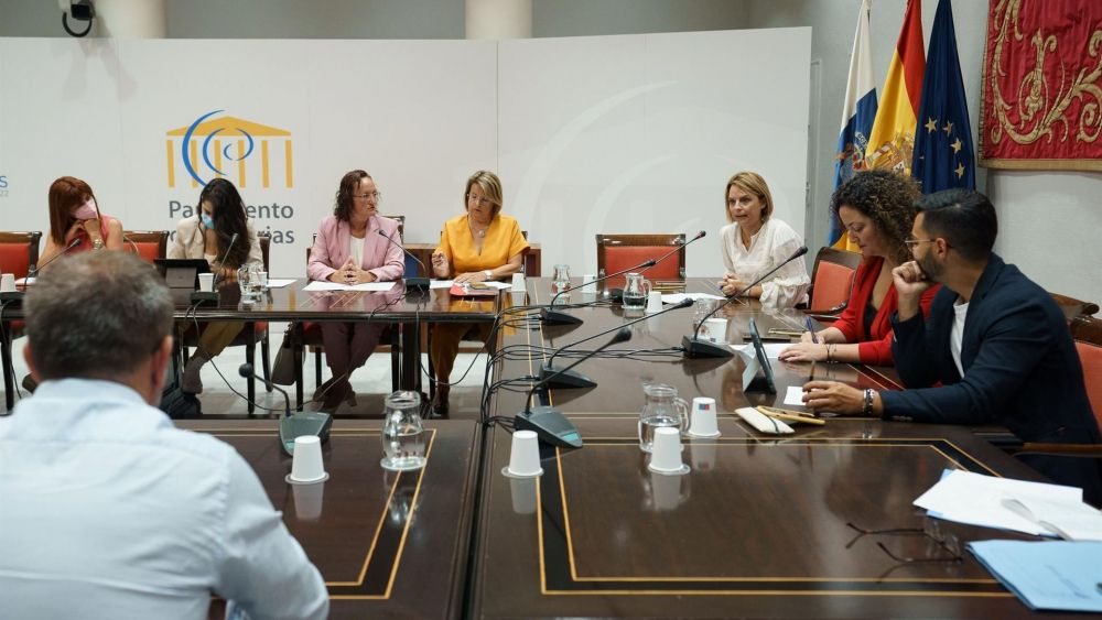Noemí Santana (tercera por la derecha) interviene en comisión parlamentaria./ EFE/Ramón de la Rocha