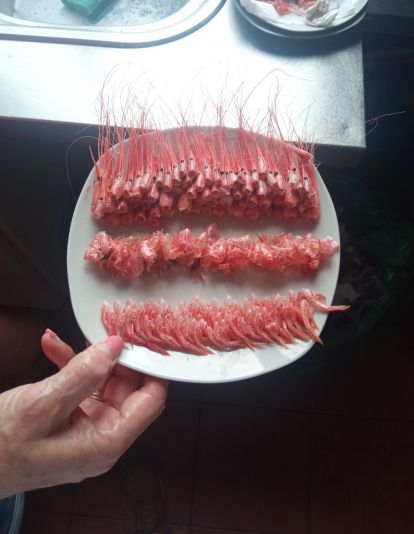 Foto viral del plato de camarones ordenado. / @Antydrogas