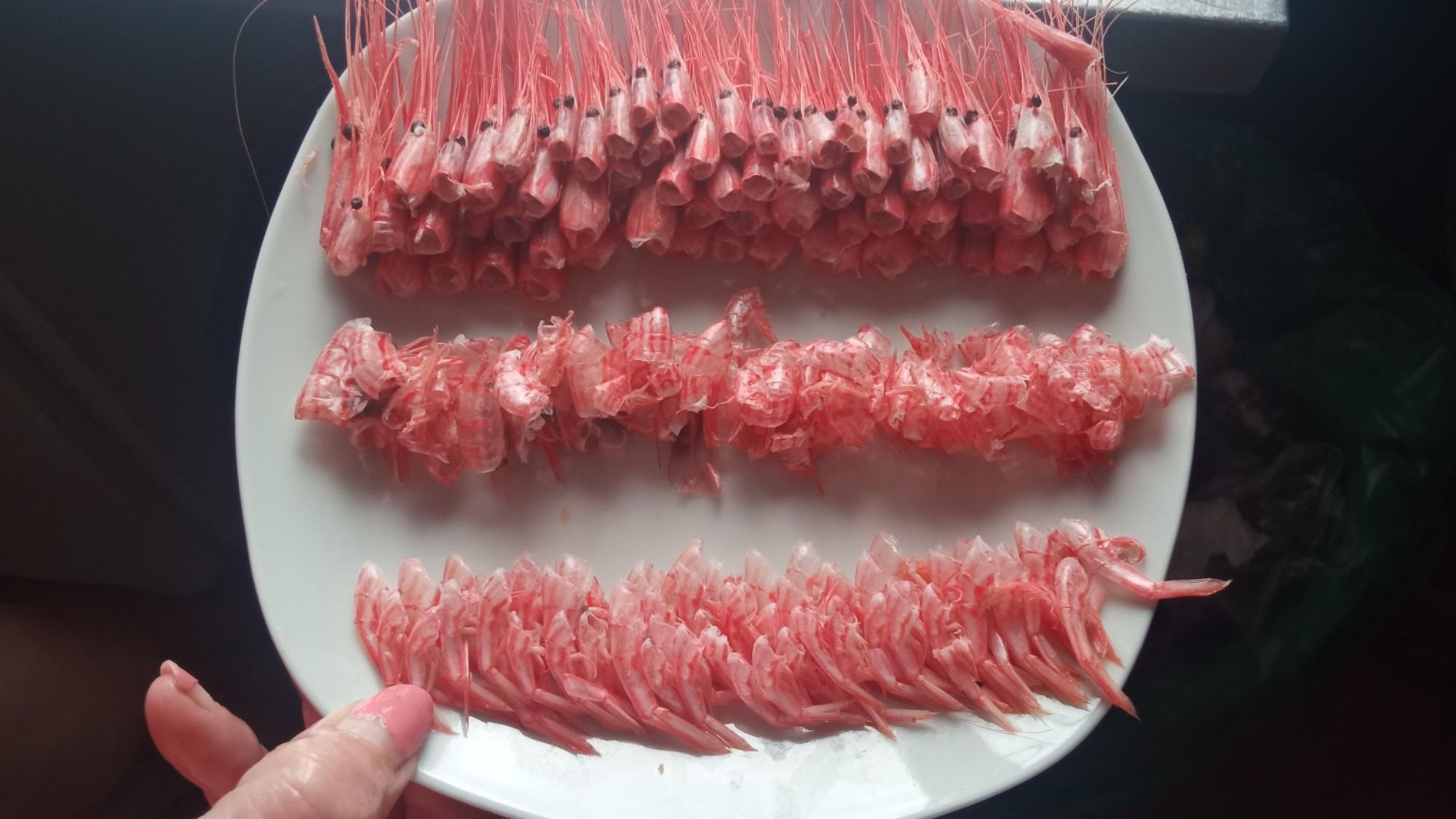 Foto viral del plato de camarones ordenado. / @Antydrogas