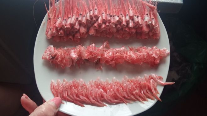 Foto viral del plato de camarones ordenado. / @Antydrogas