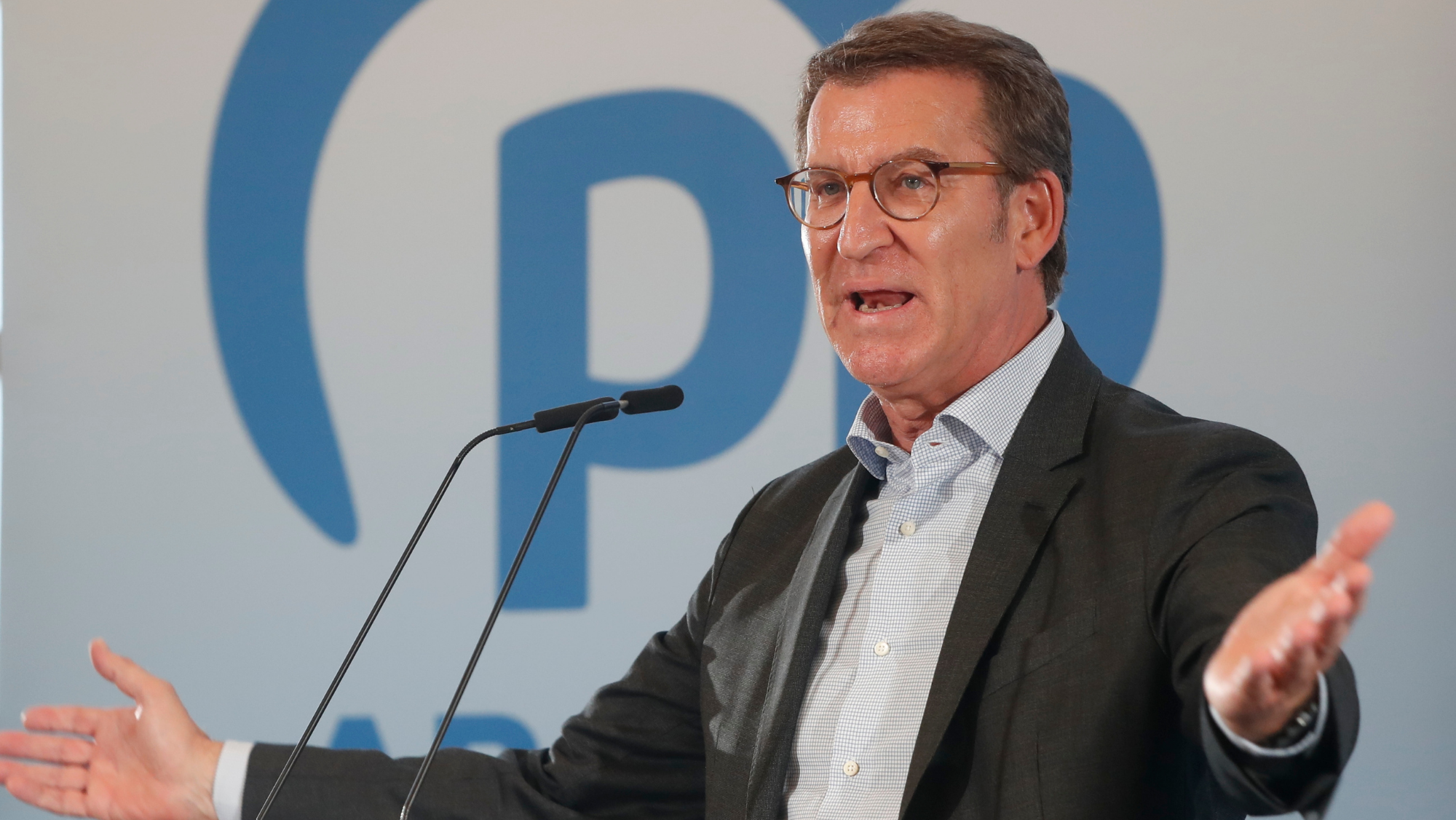 El presidente del partido Partido Popular (PP), Alberto Núñez Feijóo./ EFE