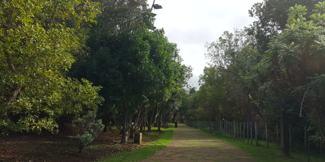 Parque Hamilton en Tacoronte. / Imagen de la red 