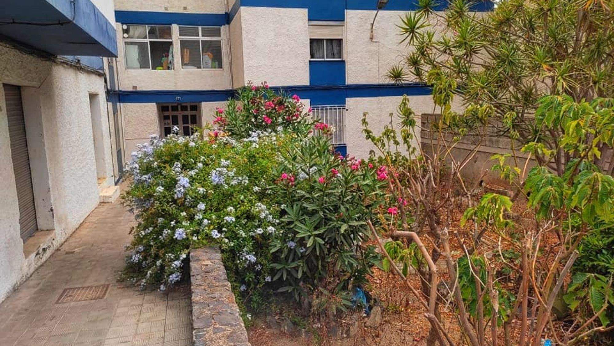 Edificio en El Cardonal. / AAVV Avelca