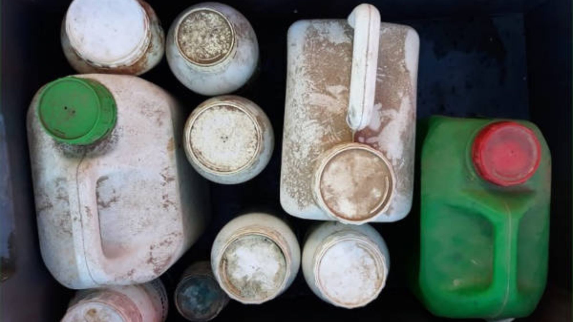 Varios envases de plástico en la basura. / Imagen de la red