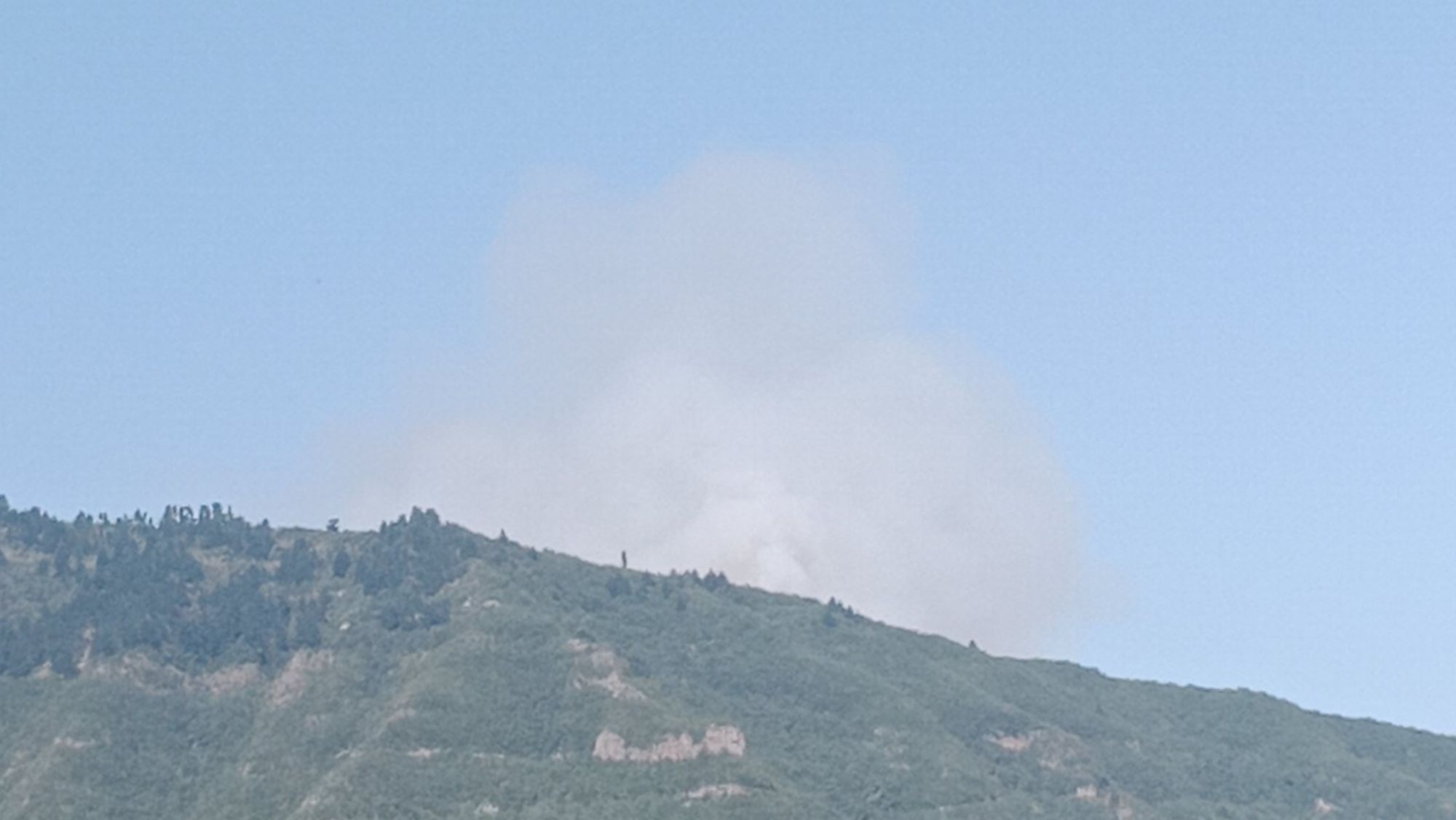 Imagen del inicio del incendio en Los Realejos. / @borjaCDT