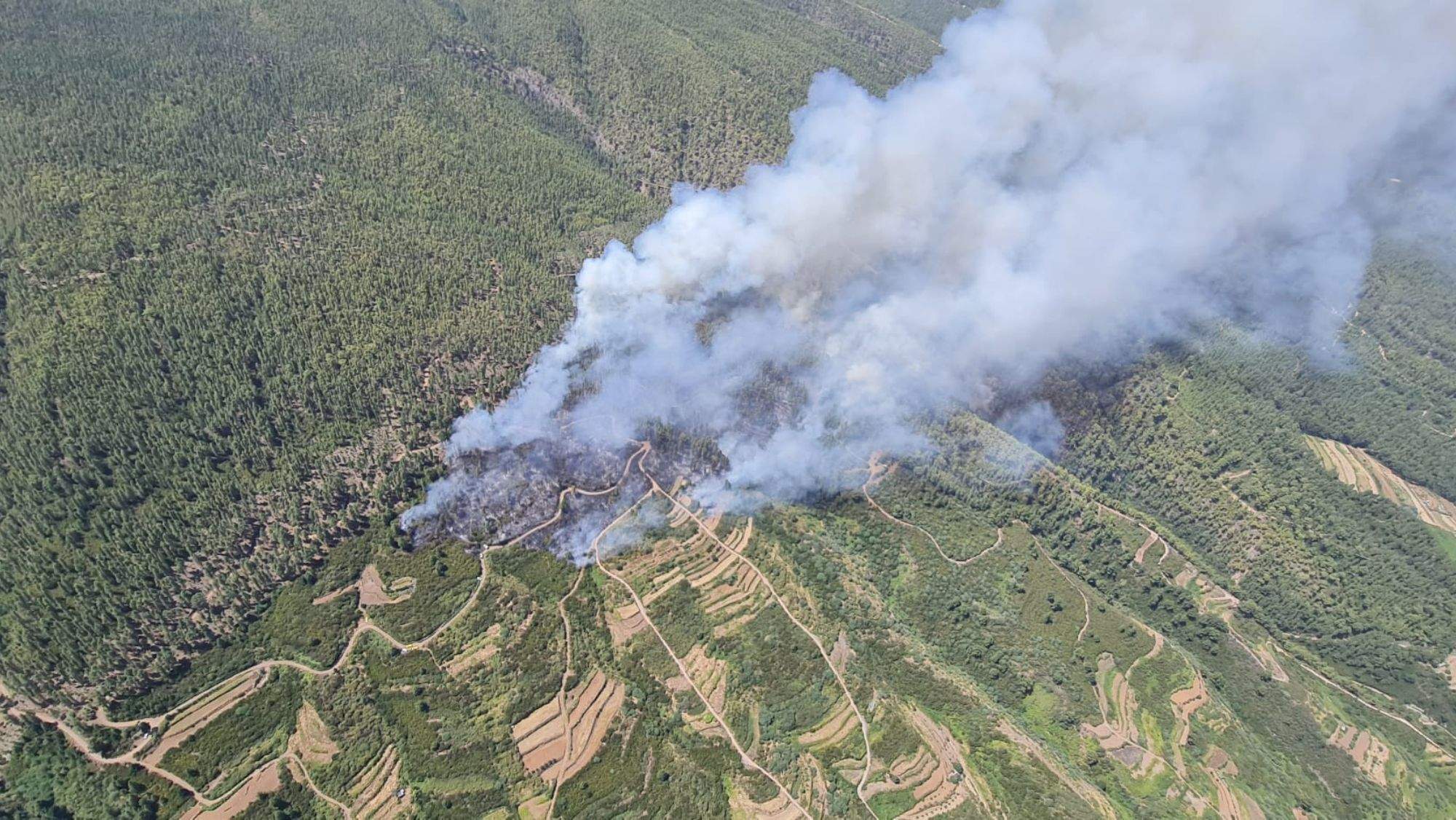 Imagen aérea del incendio forestal en Los Realejos. / Cabildo de Tenerife