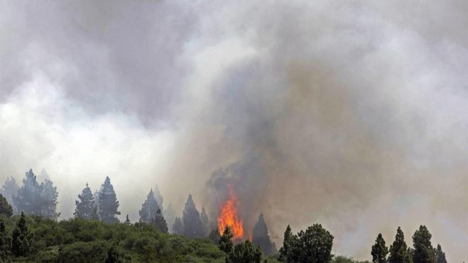 Incendio forestal en Los Realejos, Tenerife./ EFE/ Miguel Barreto