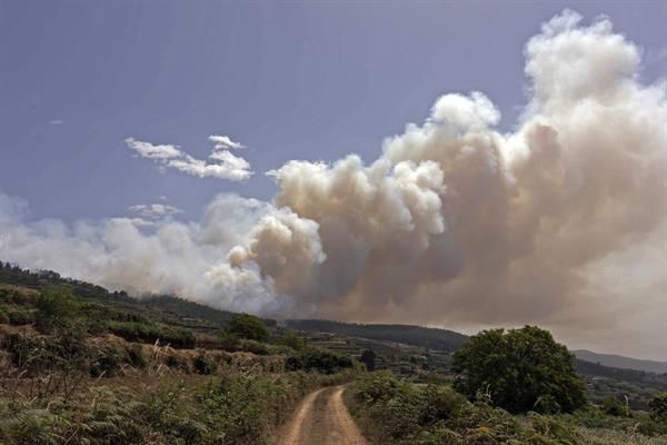 Incendio en el norte de Tenerife./ EFE/Miguel Barreto