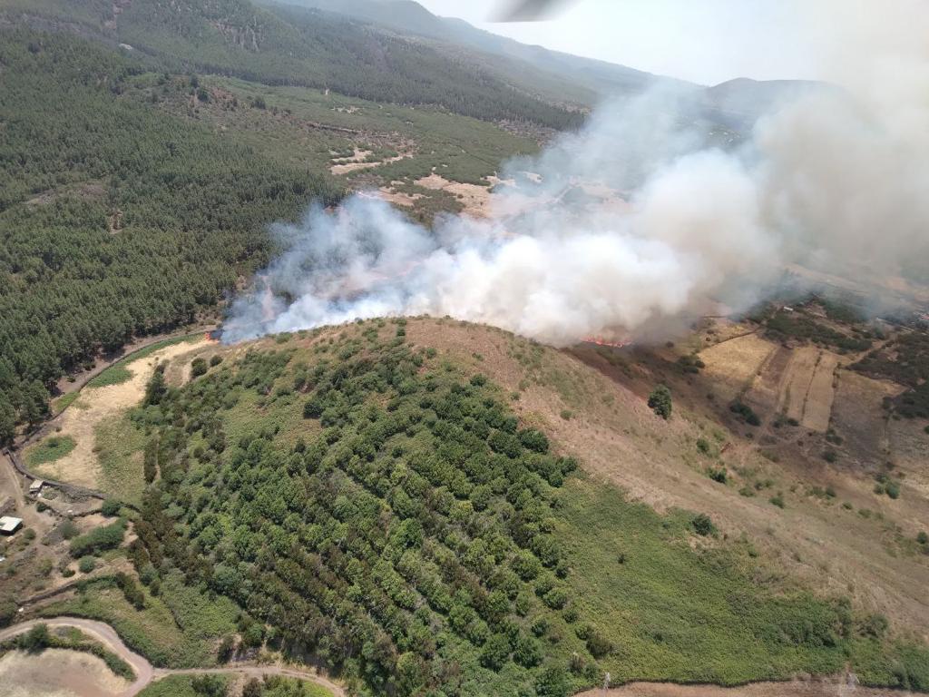 Incendio en la zona de Los Campeches, en Los Realejos./