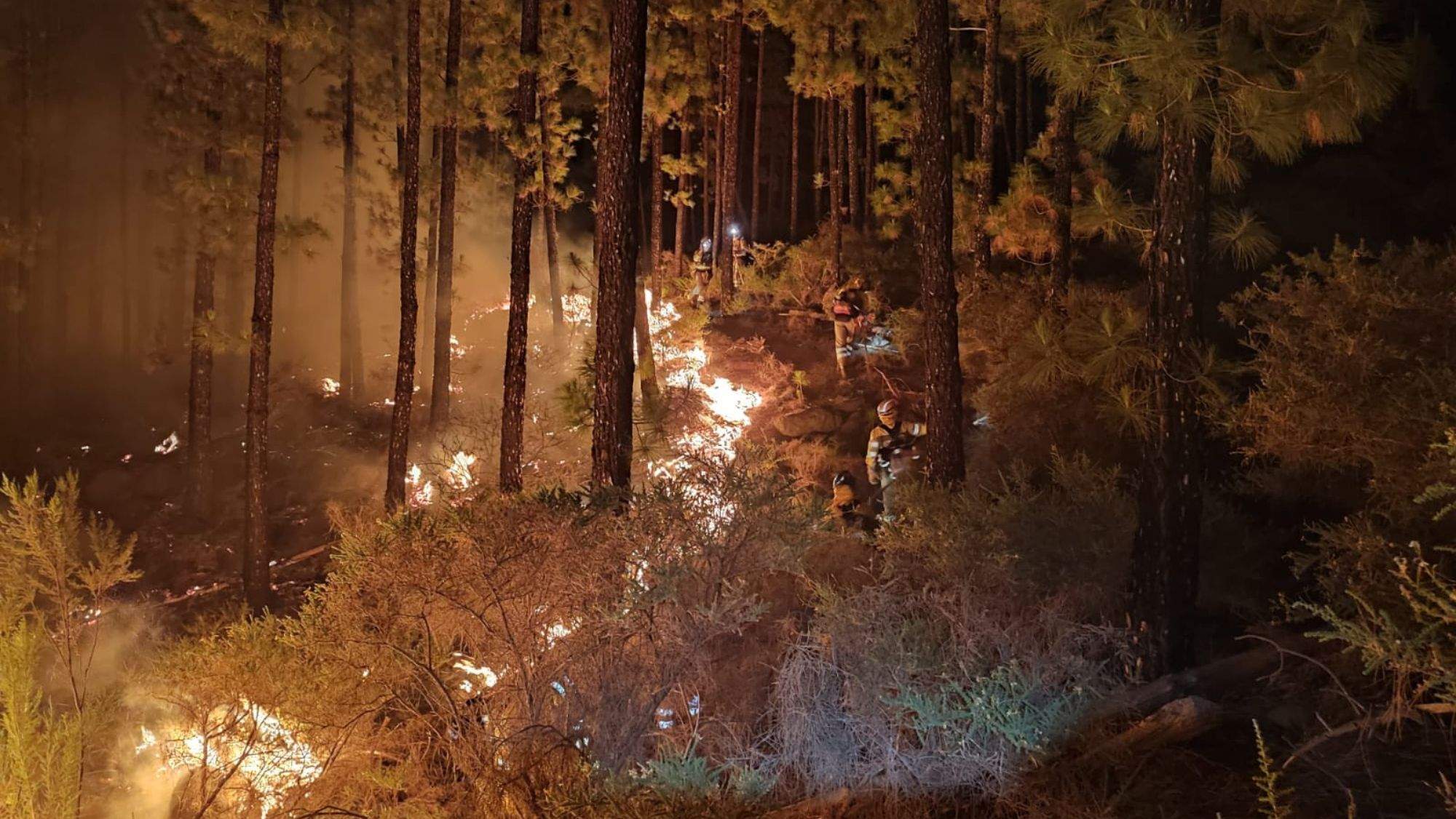 Equipos de extinción trabajan a destajo durante la noche. / Gesplan