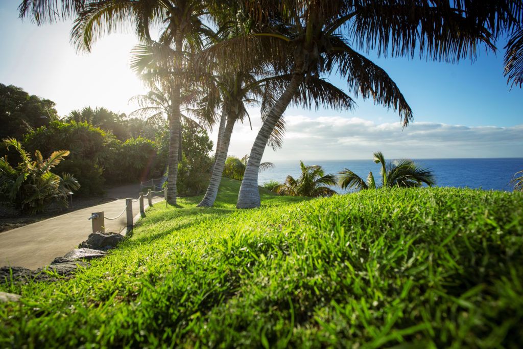 Palmetum de Santa Cruz./Archivo