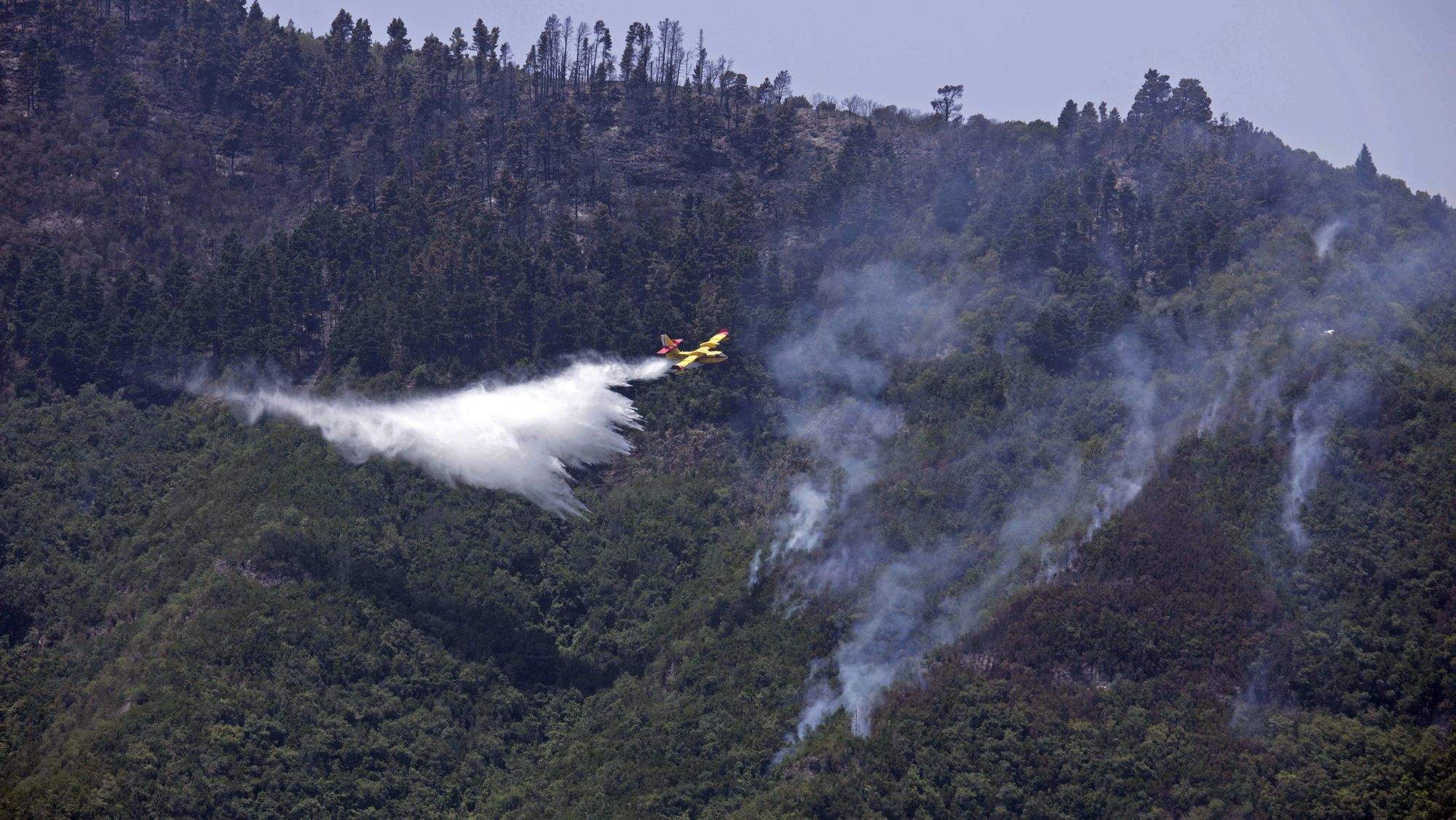 Un hidroavión descarga sobre focos de calor. / Efe