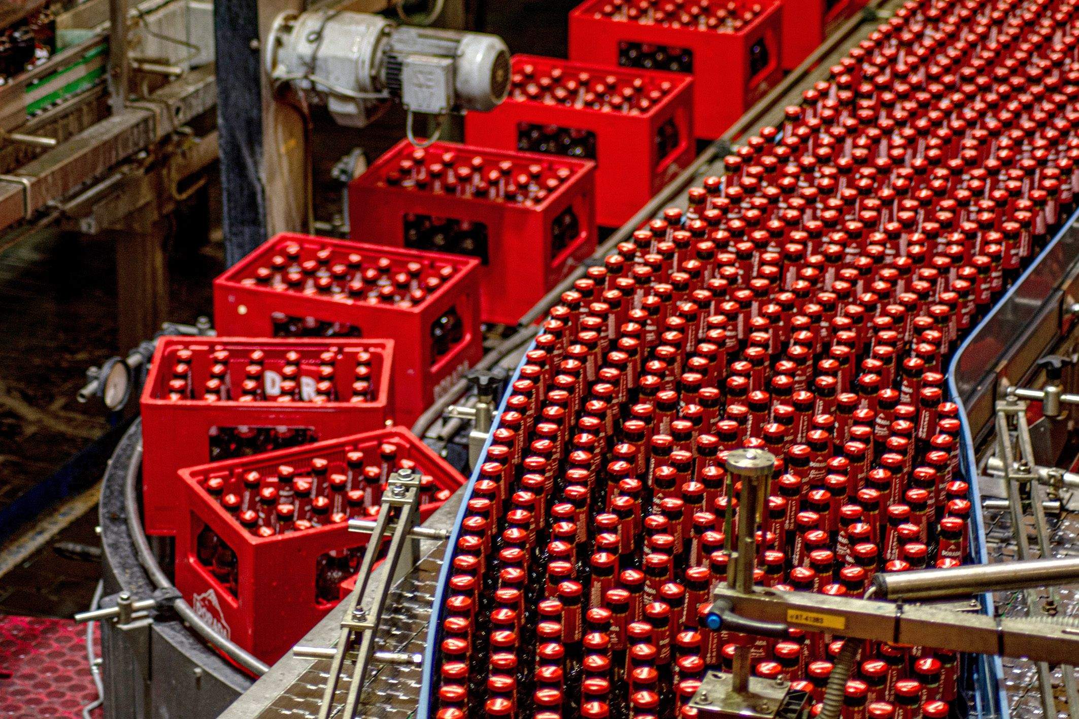 Fase de producción de la Compañía Cervecera de Canarias. / AH