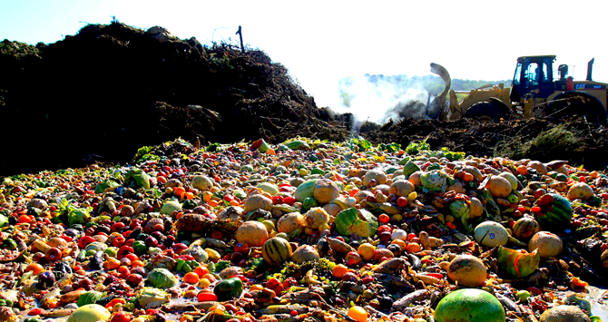 Comida en un vertedero. Despilfarro alimentario/ Archivo
