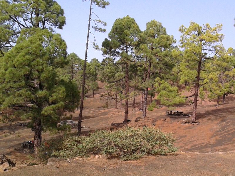 Área recreativa de Monte Chio en Tenerife./ planetatenerife.com