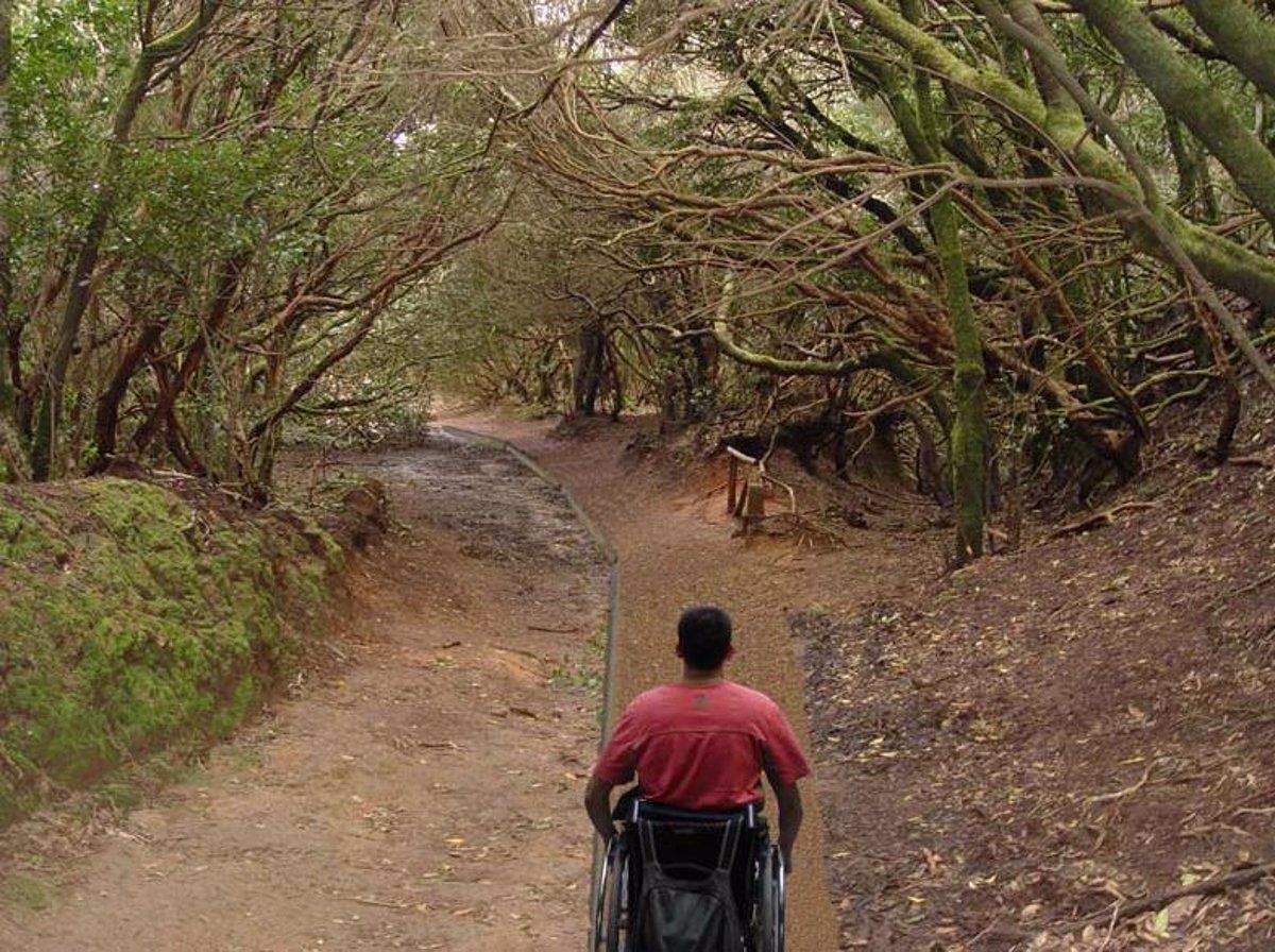 Una persona con necesidad de transporte adaptado en Anaga./ Cedida