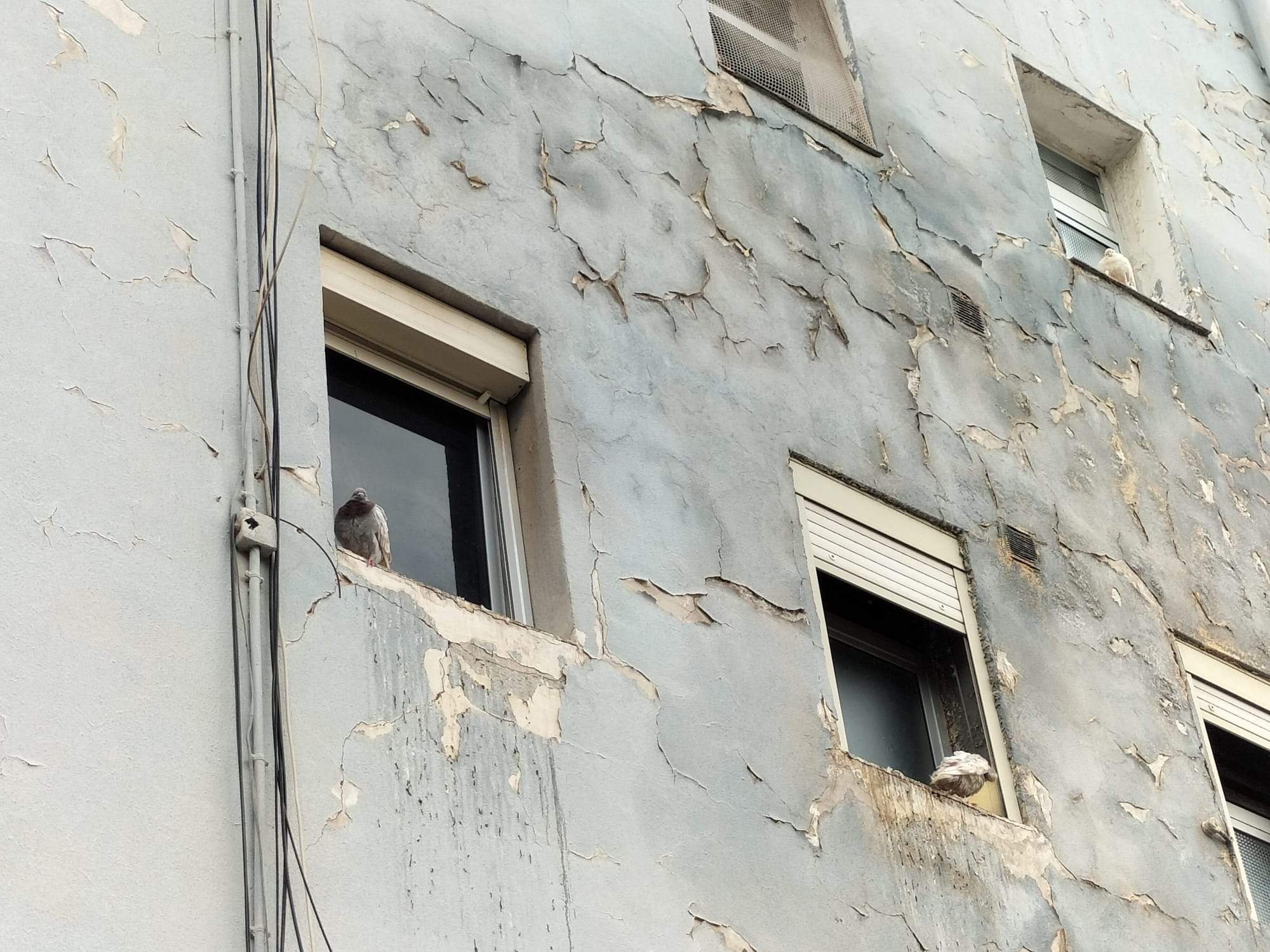 Palomas en los alfeizares de algunas ventanas./ Álvaro Oliver (AH) Palomas en los alfeizares de algunas ventanas./ Álvaro Oliver (AH)