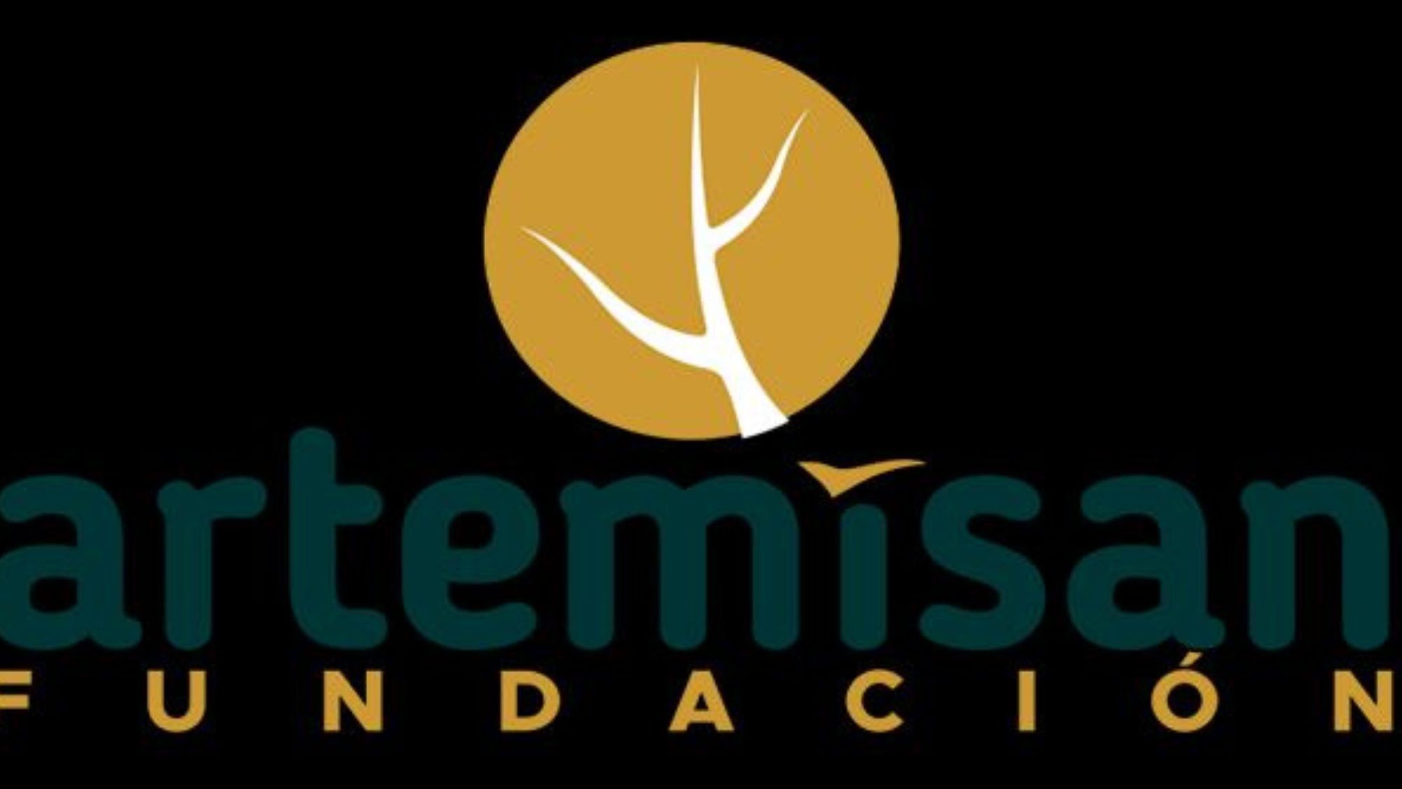 Logo Fundación Artemisan. / Archivo