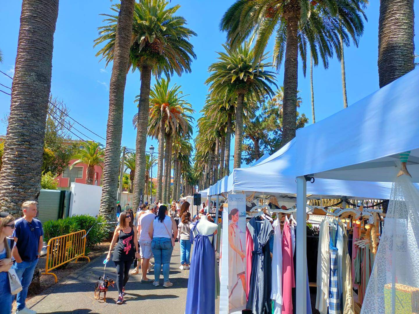 Edición del 'Dreamer Market' en La Laguna./ Cedida