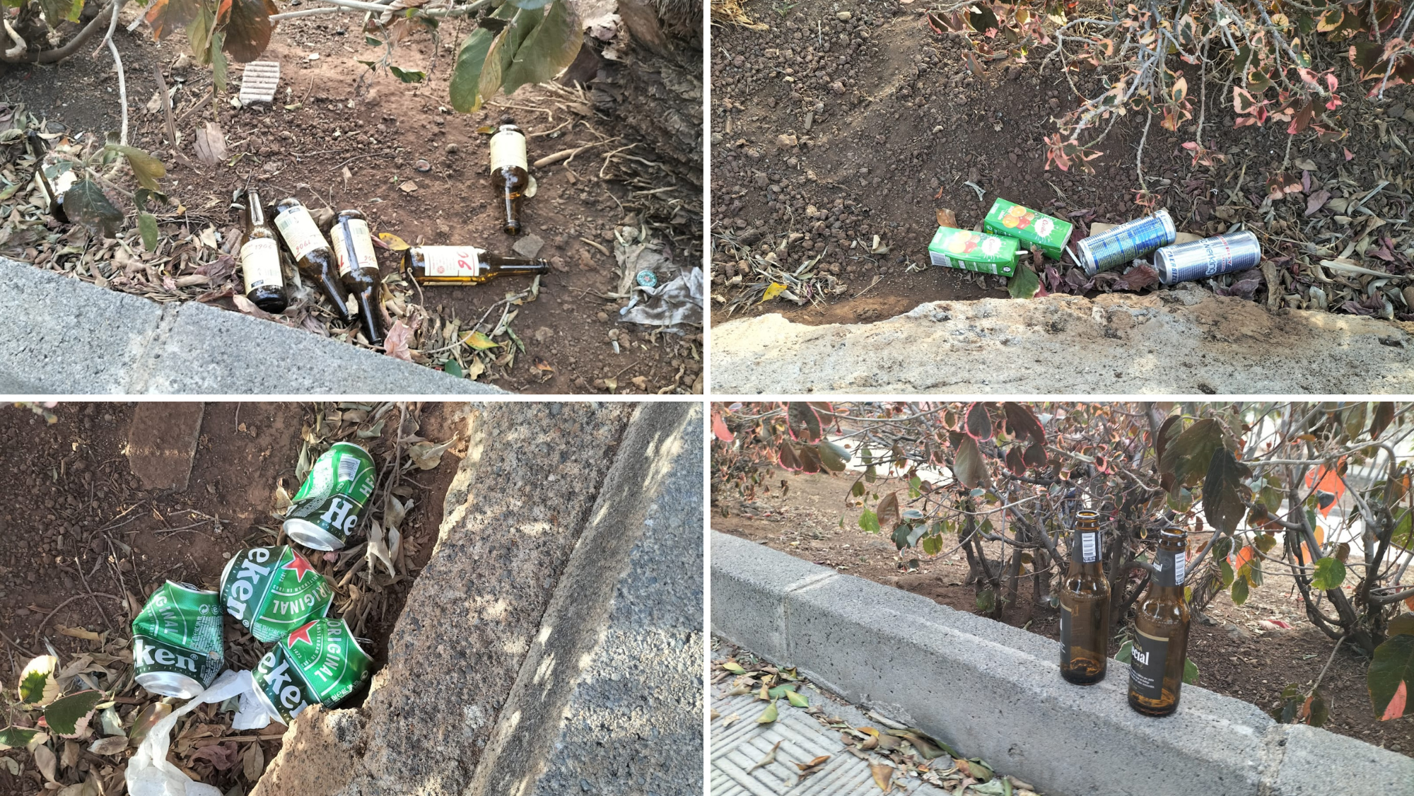 Latas y botellines acumulados en el parque de la Parroquia de Santa Bárbara./ AH Latas y botellines acumulados en el parque de la Parroquia de Santa Bárbara./ AH